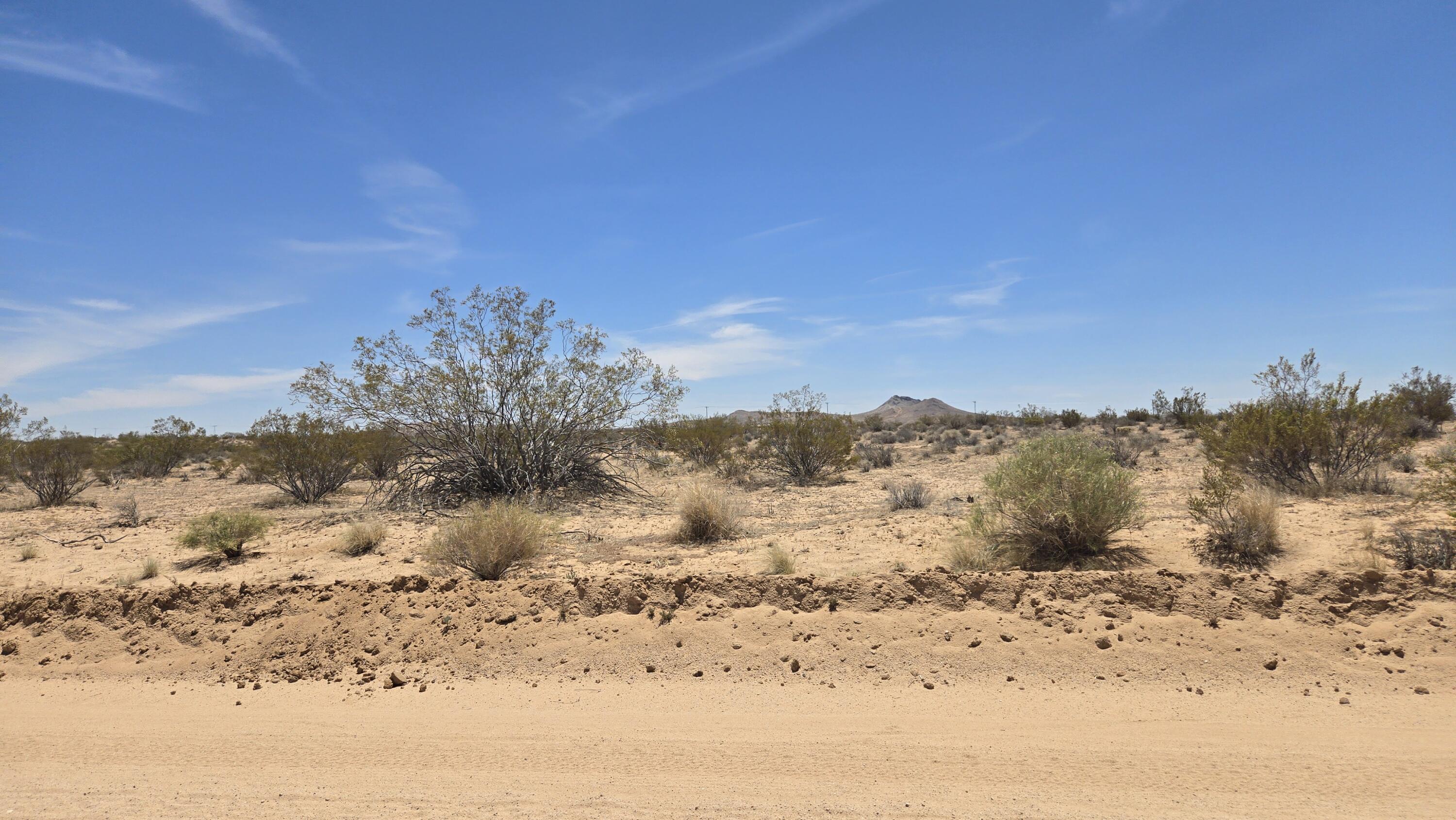 Randsburg Mojave Rd Property Photo 12