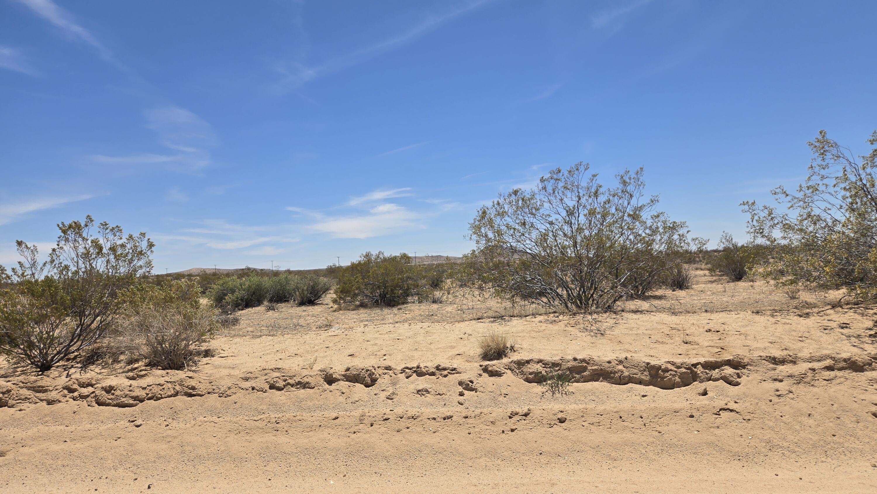 Randsburg Mojave Rd Property Photo 13