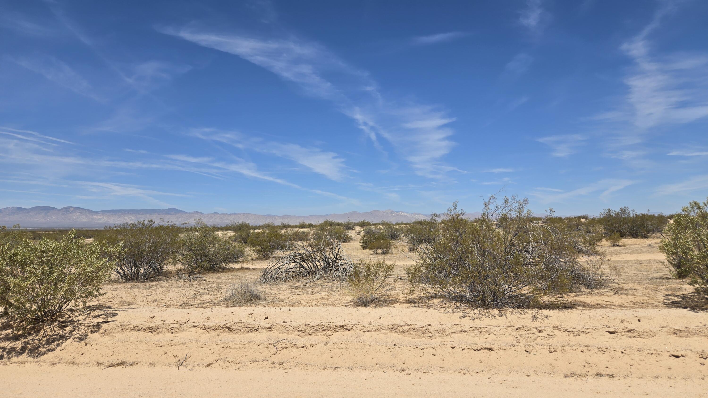 Randsburg Mojave Rd Property Photo 16
