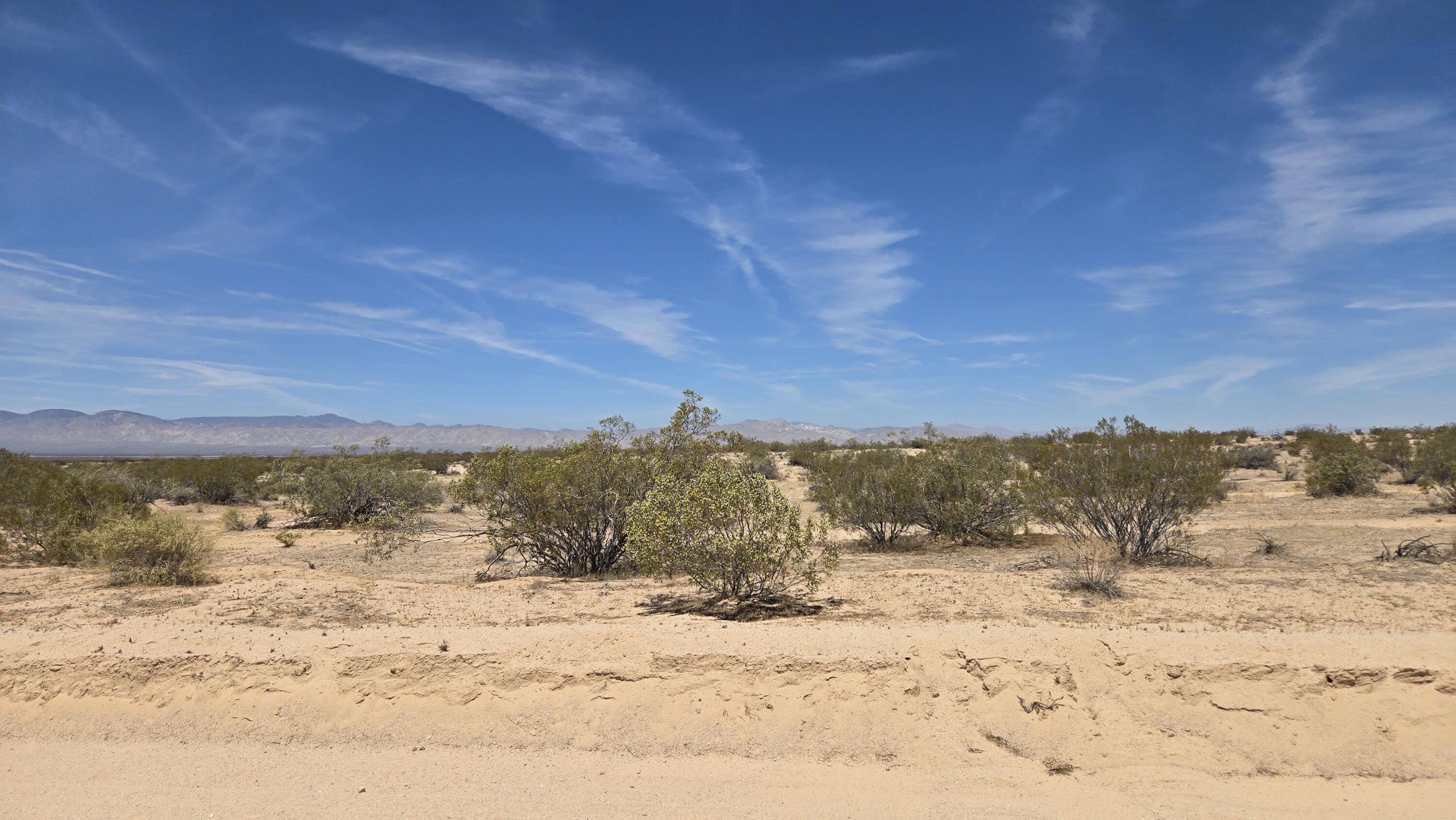 Randsburg Mojave Rd Property Photo 17