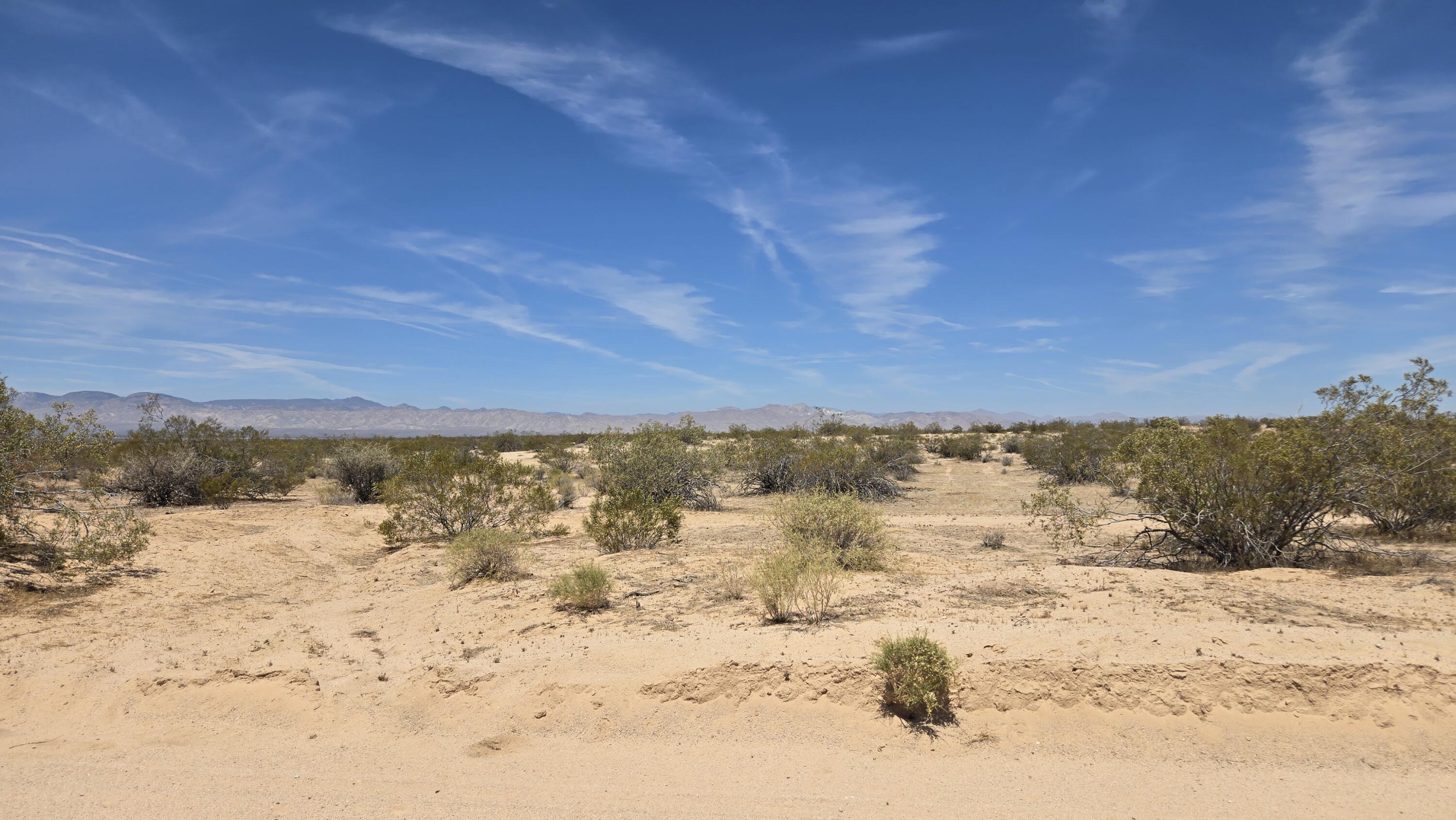Randsburg Mojave Rd Property Photo 18