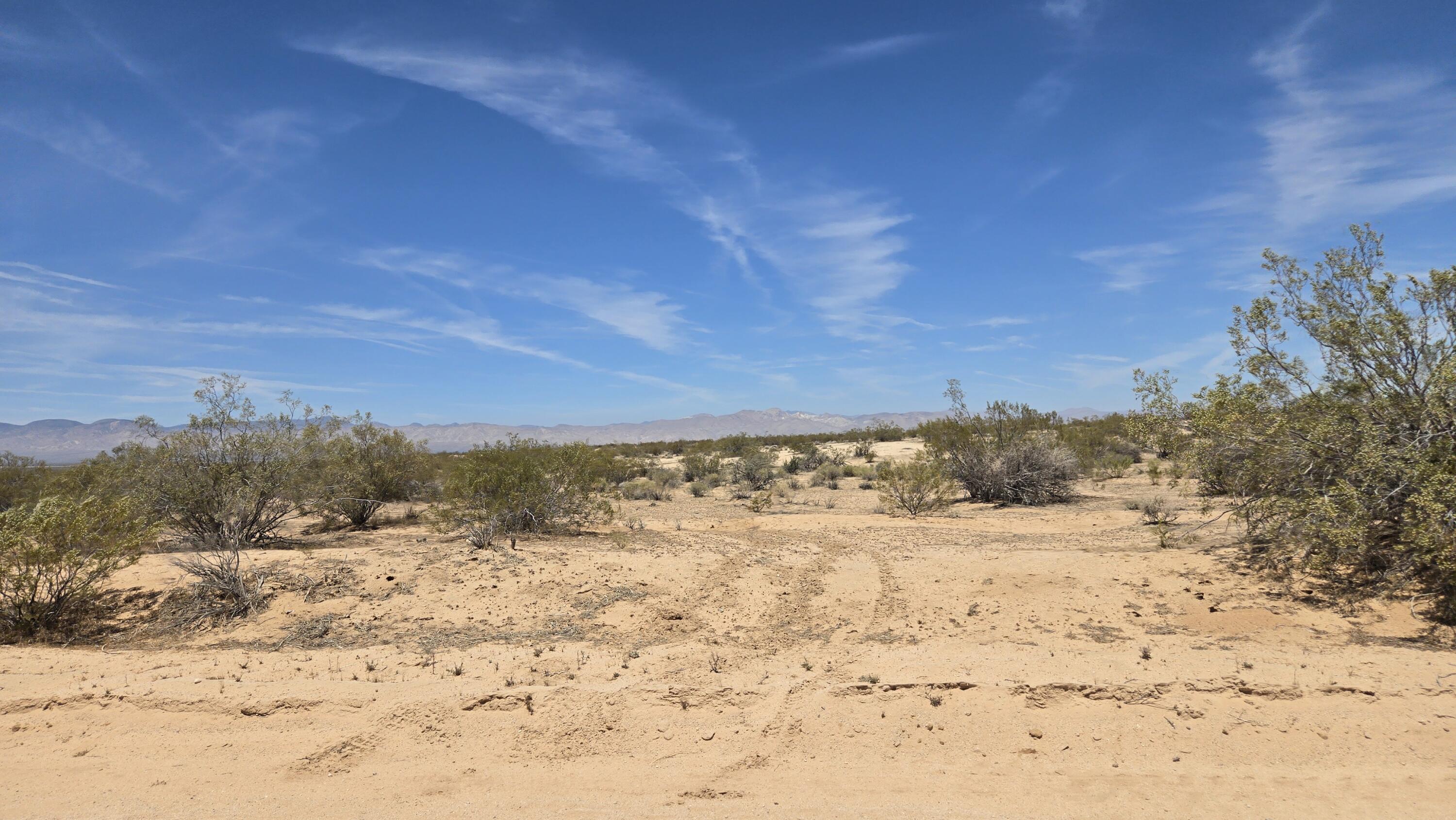 Randsburg Mojave Rd Property Photo 19