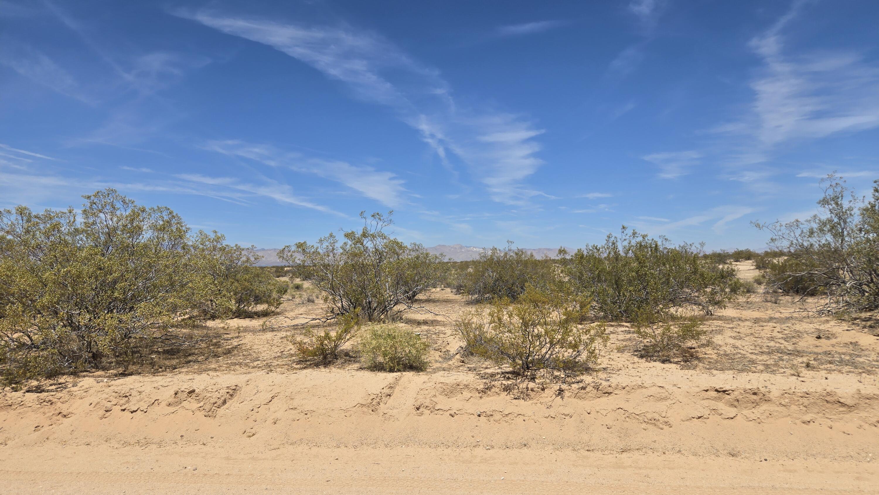 Randsburg Mojave Rd Property Photo 20