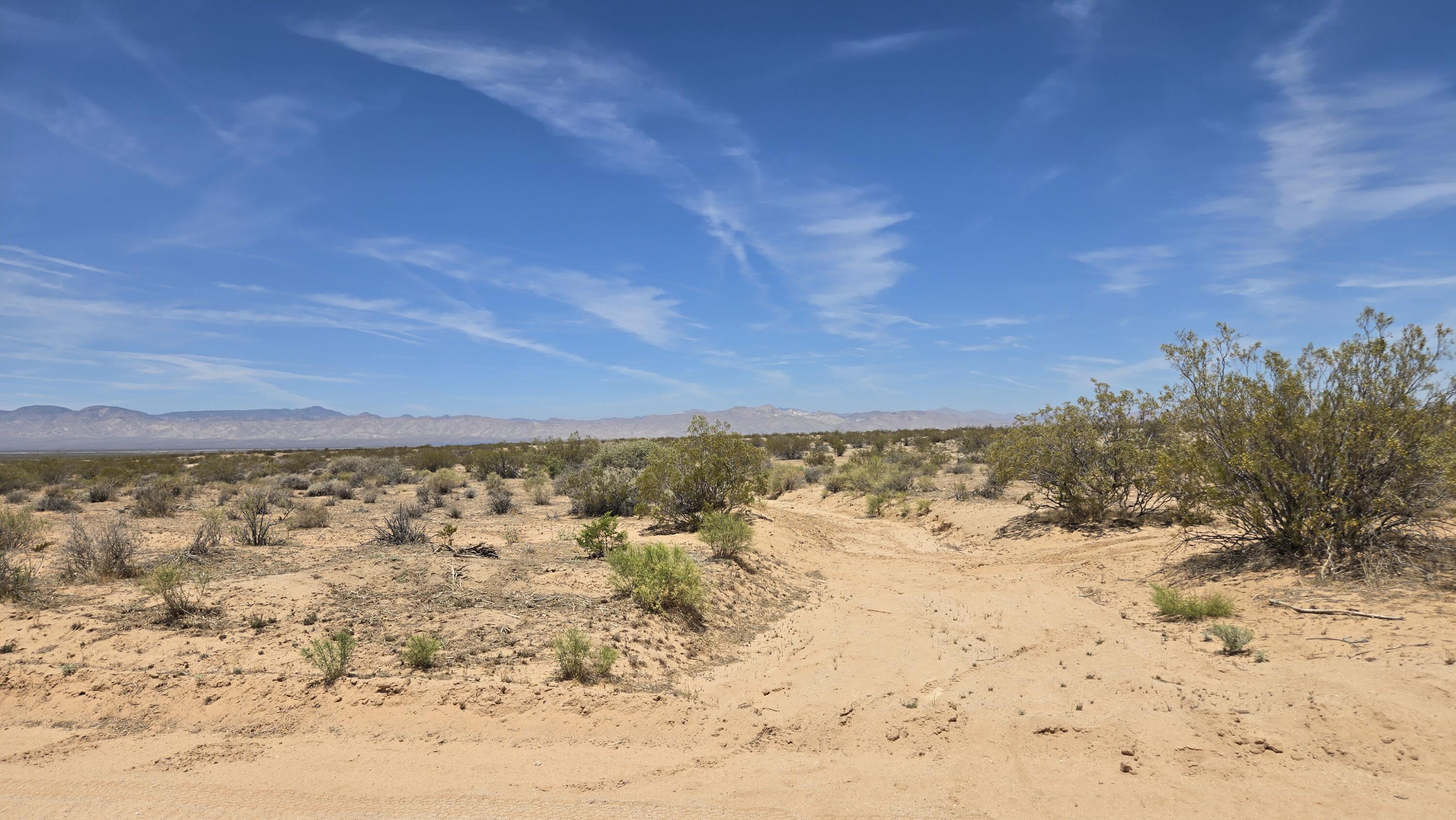 Randsburg Mojave Rd Property Photo 21