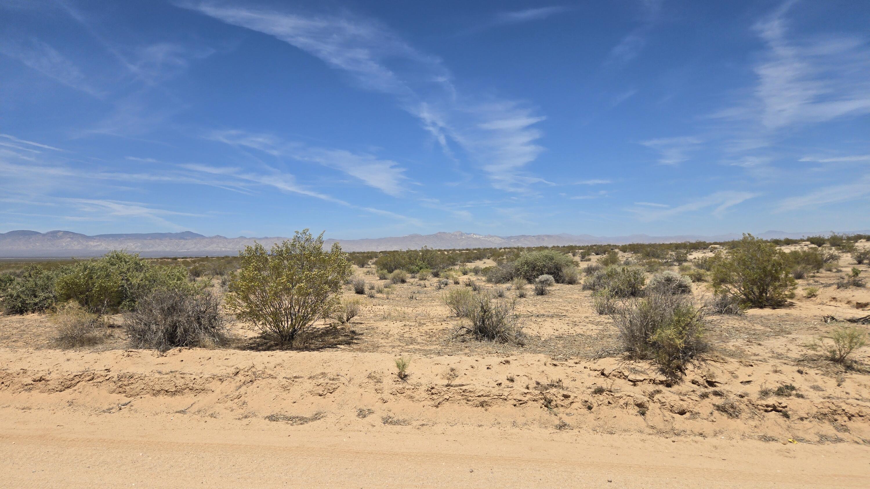 Randsburg Mojave Rd Property Photo 22