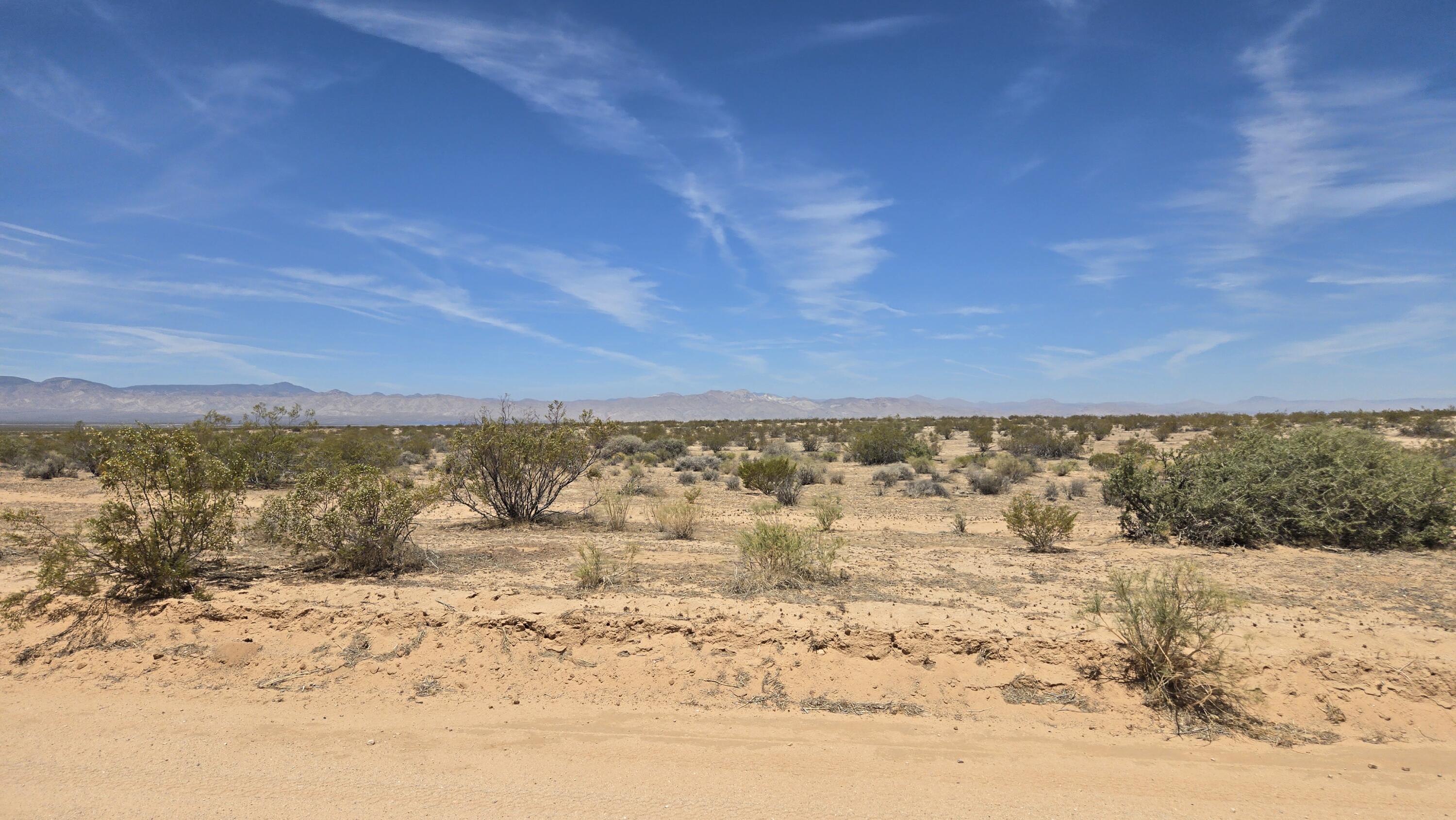 Randsburg Mojave Rd Property Photo 23