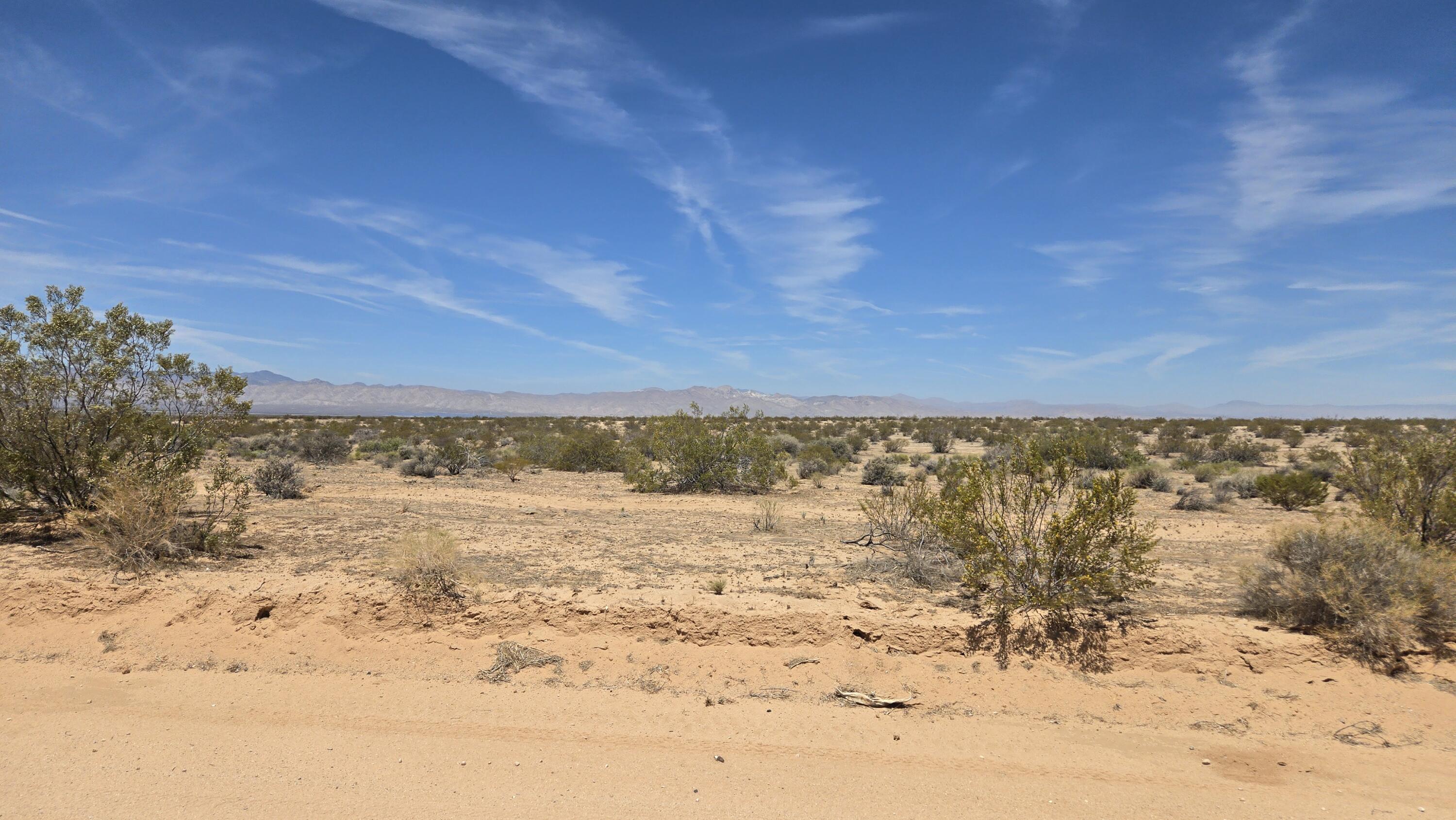 Randsburg Mojave Rd Property Photo 24