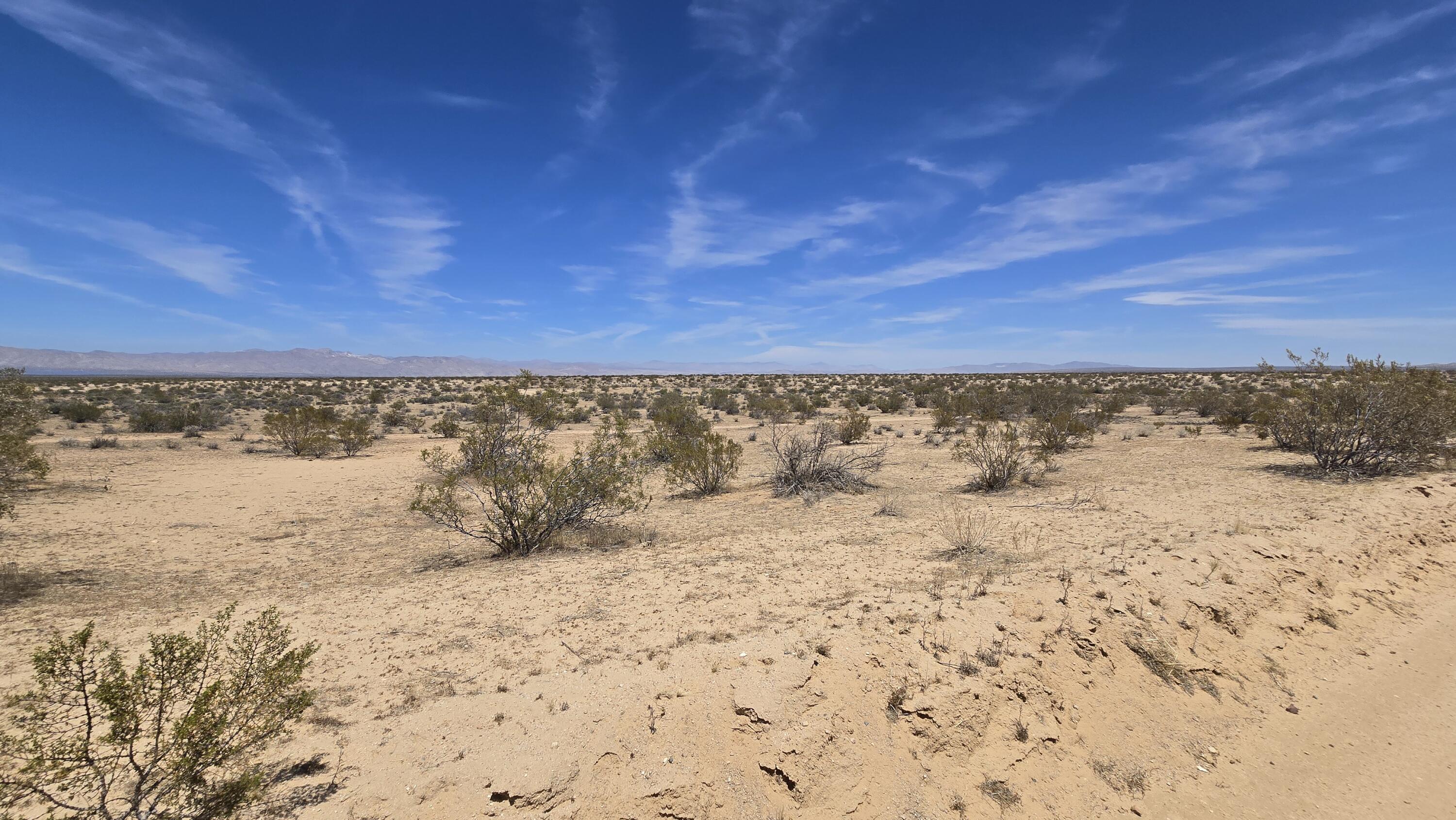 Randsburg Mojave Rd Property Photo 35