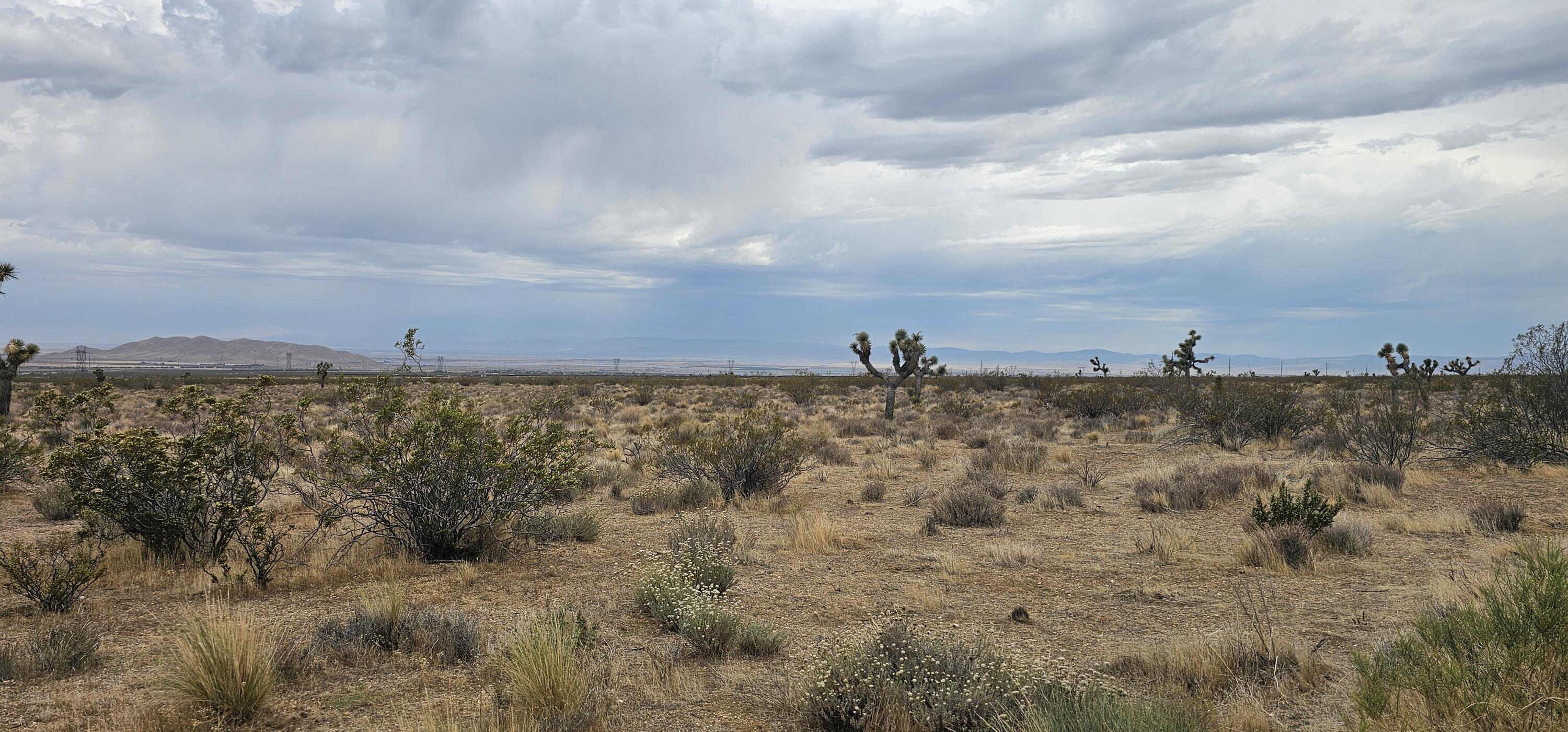 116th West Property Photo 3