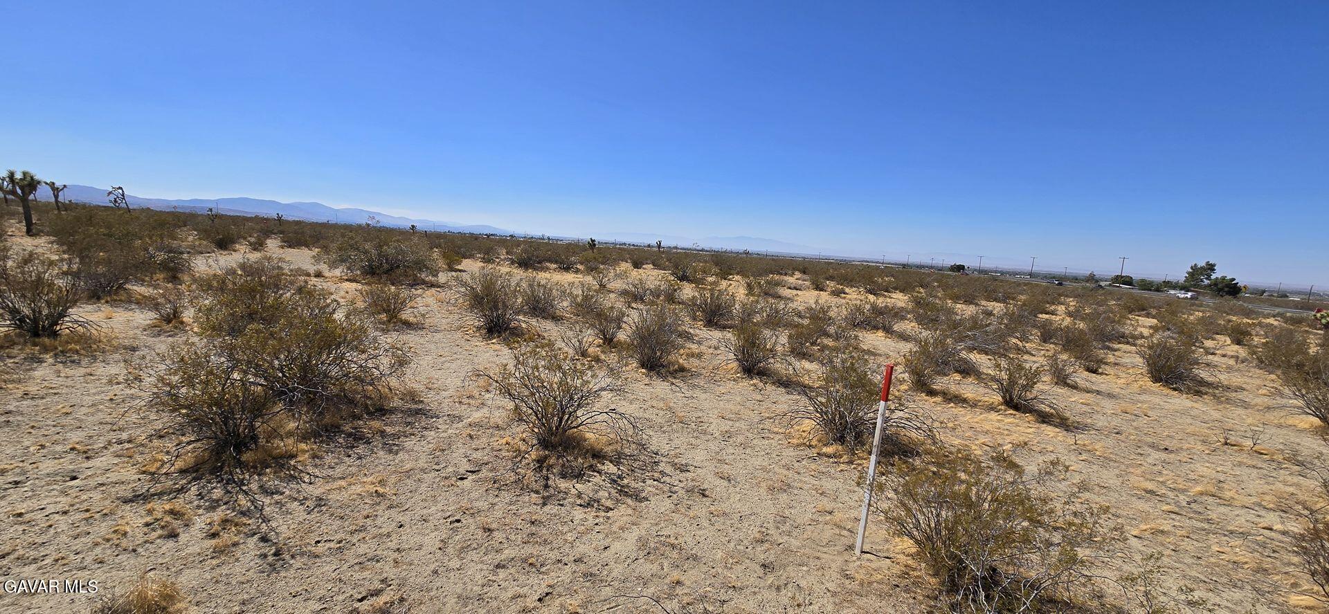 10707 Pearblossom Highway Property Photo 3