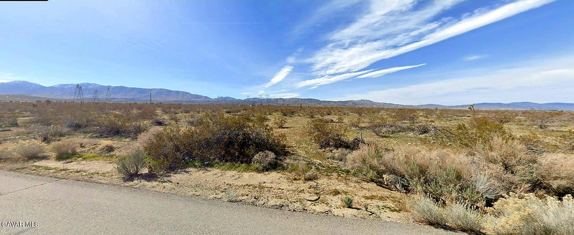 10707 Pearblossom Highway Property Photo 6