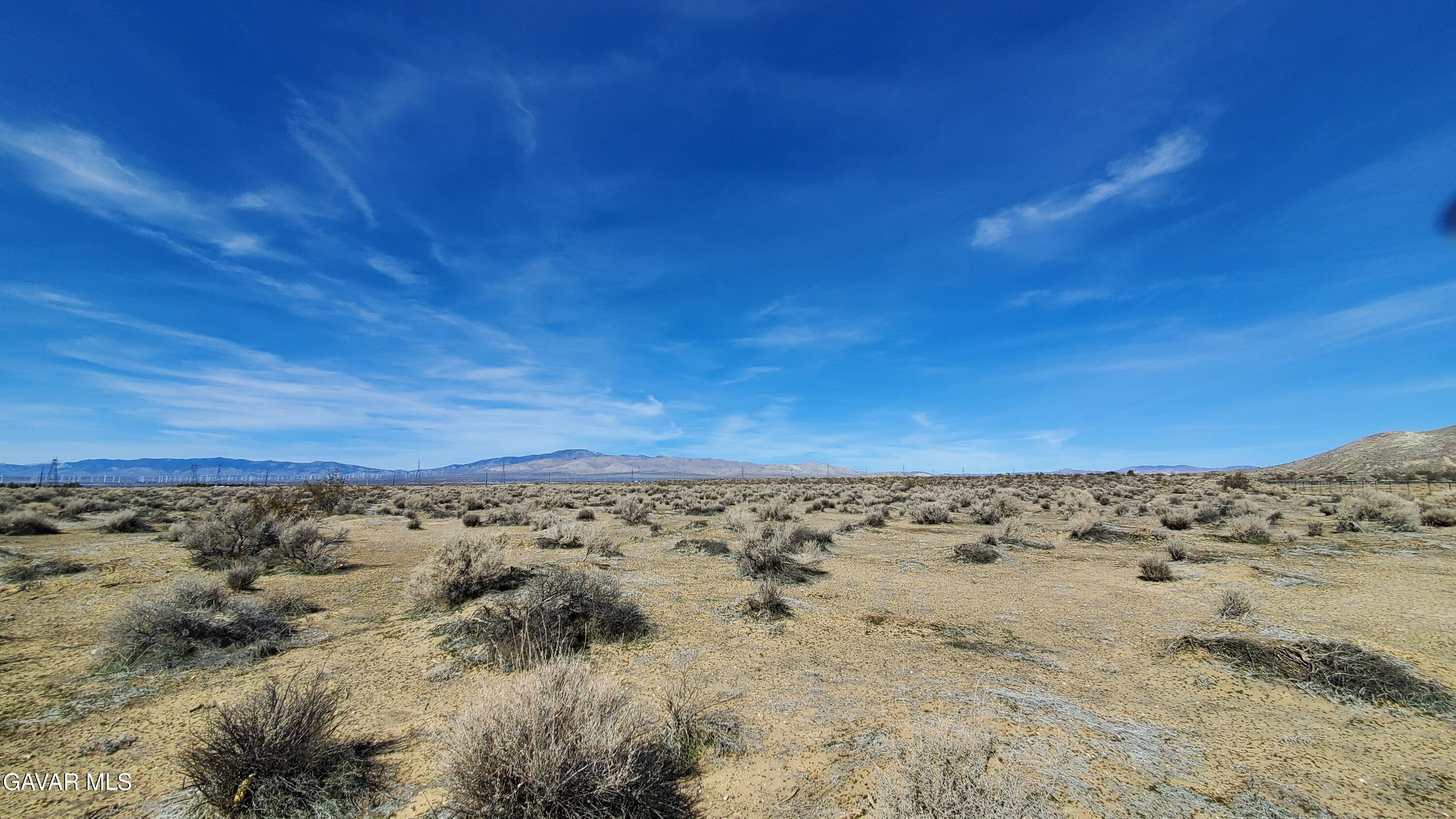 Rosamond Blvd & Kildeer St Property Photo 9