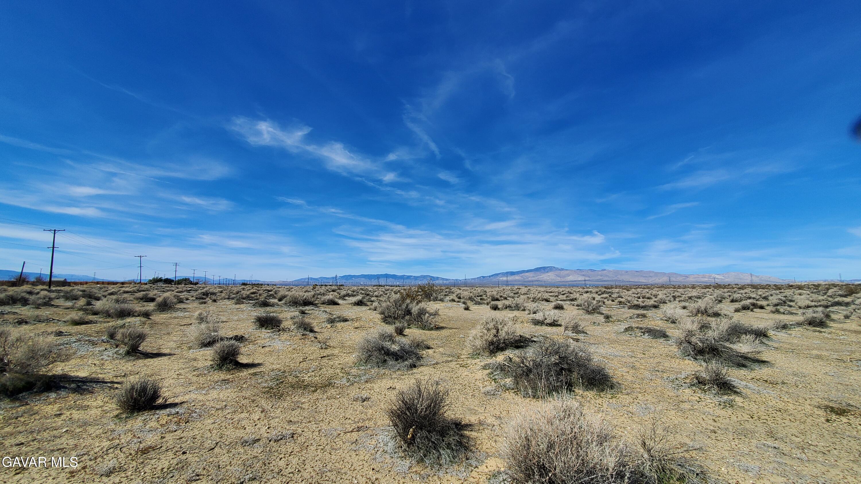 Rosamond Blvd & Kildeer St Property Photo 10