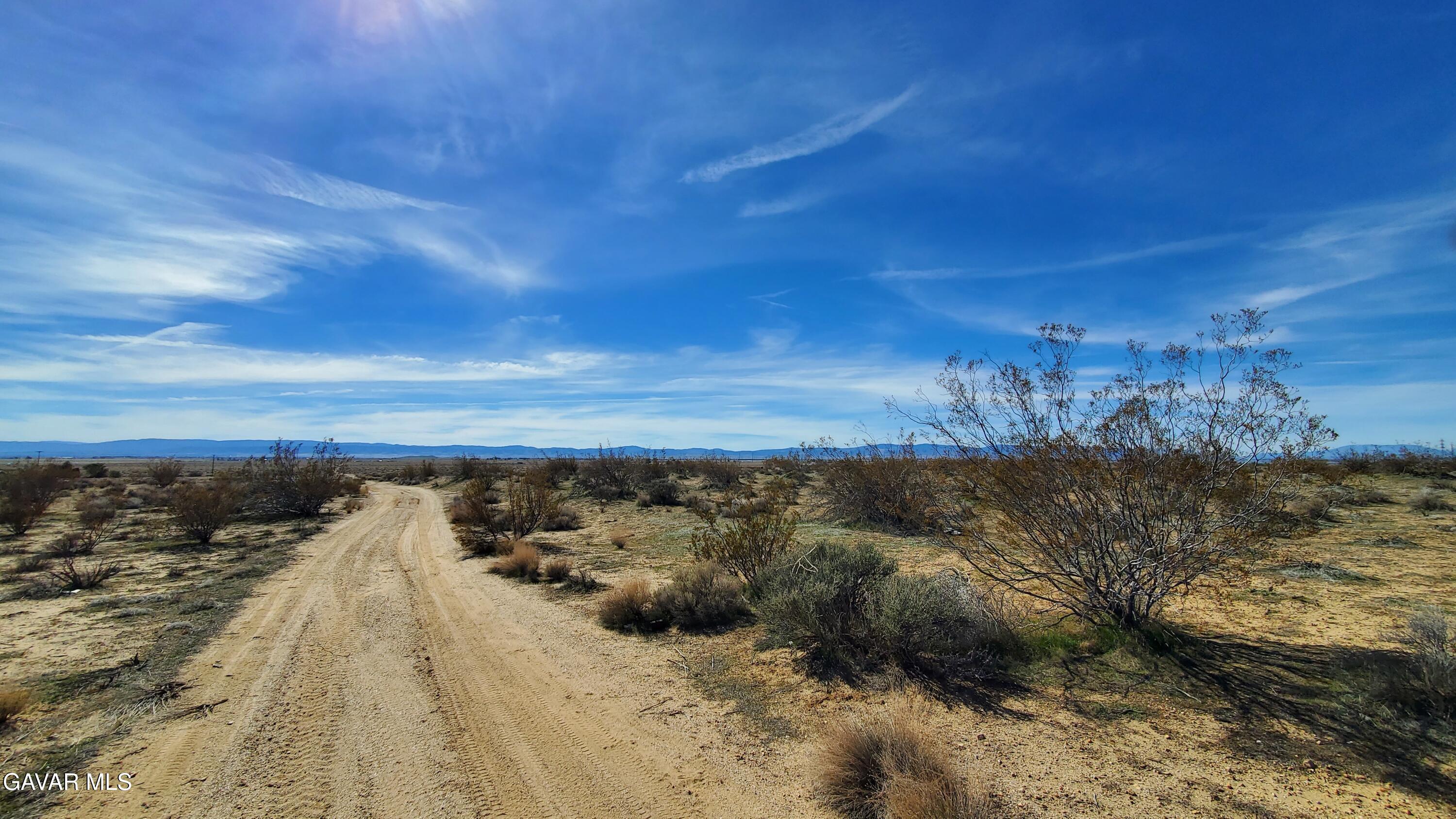Rosamond Blvd & Kildeer St Property Photo 19