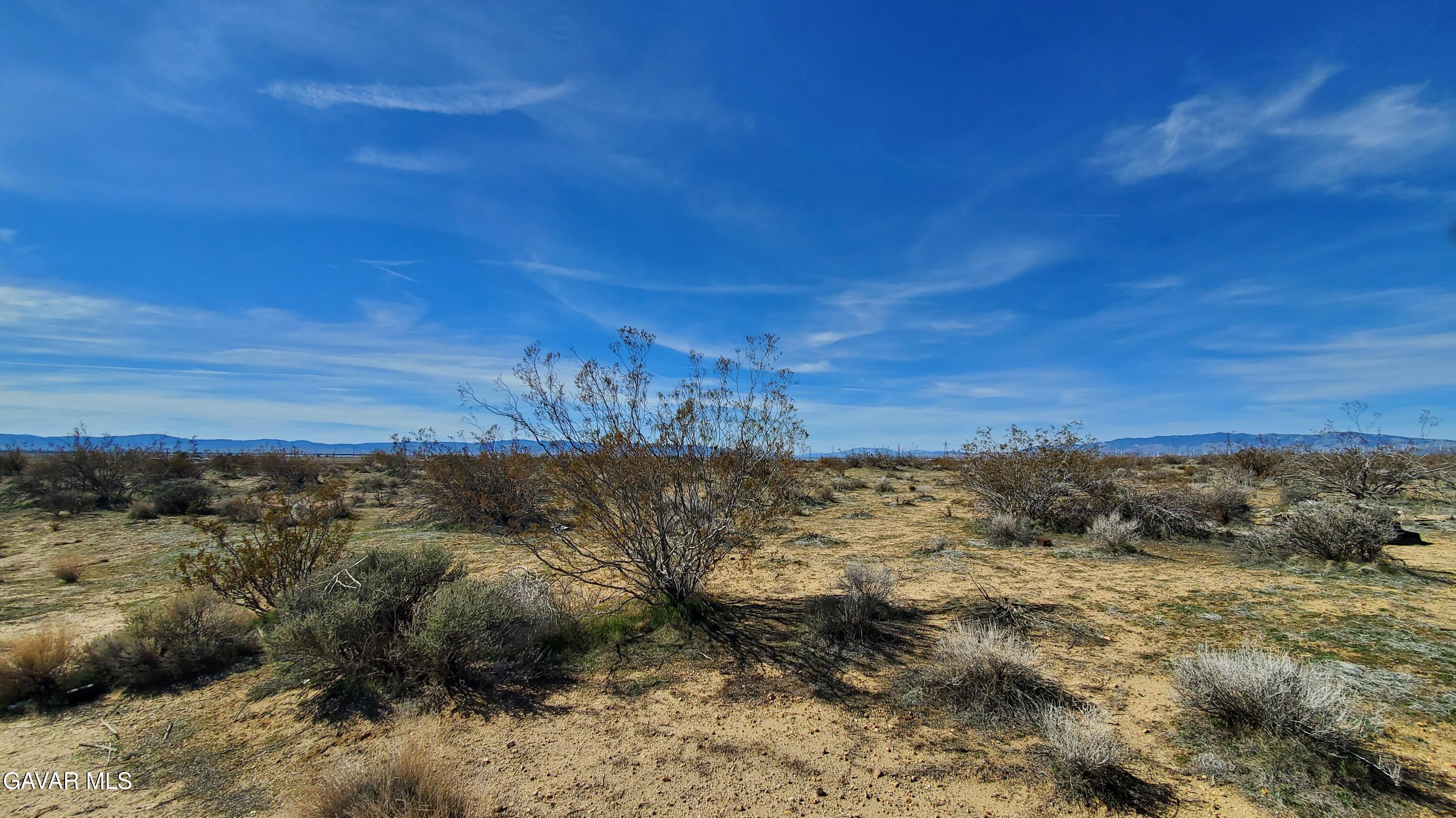 Rosamond Blvd & Kildeer St Property Photo 20
