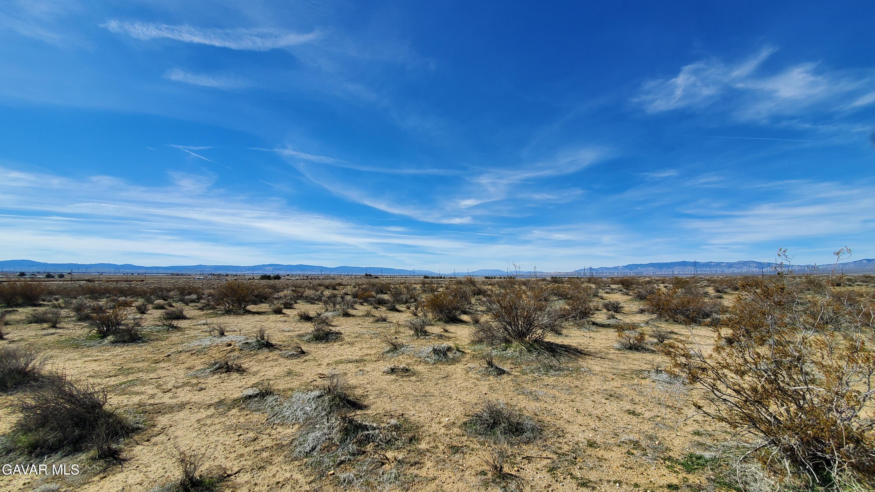 Rosamond Blvd & Kildeer St Property Photo 21