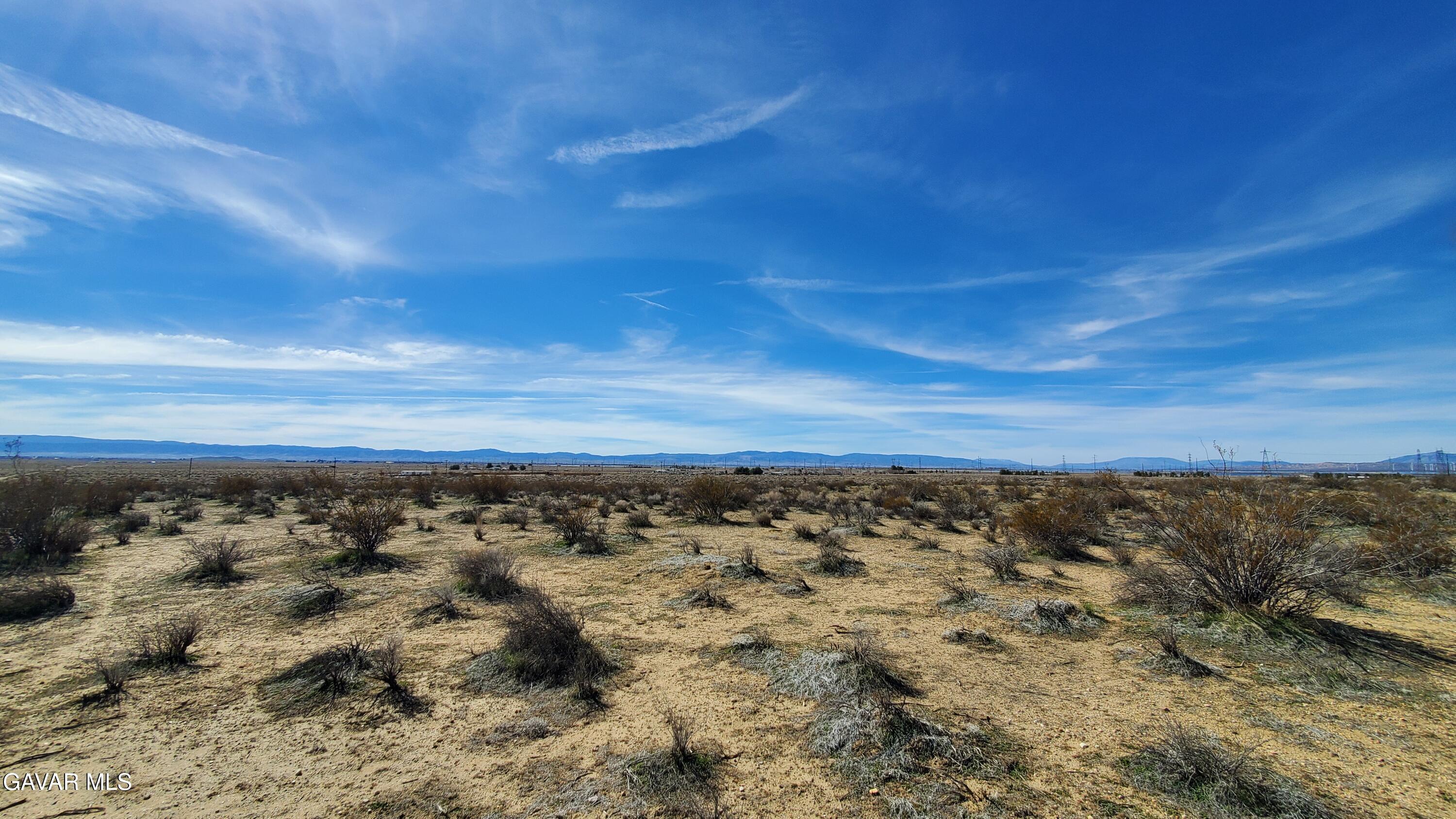 Rosamond Blvd & Kildeer St Property Photo 22