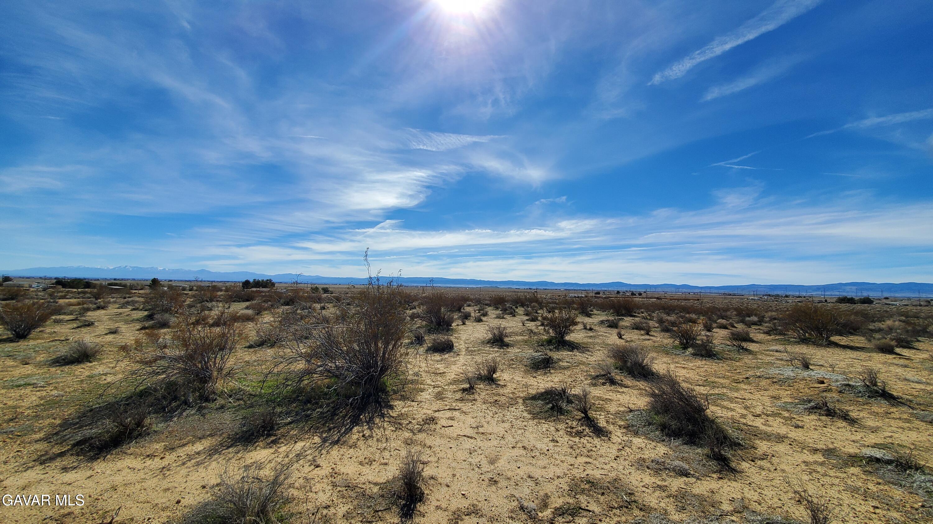 Rosamond Blvd & Kildeer St Property Photo 23