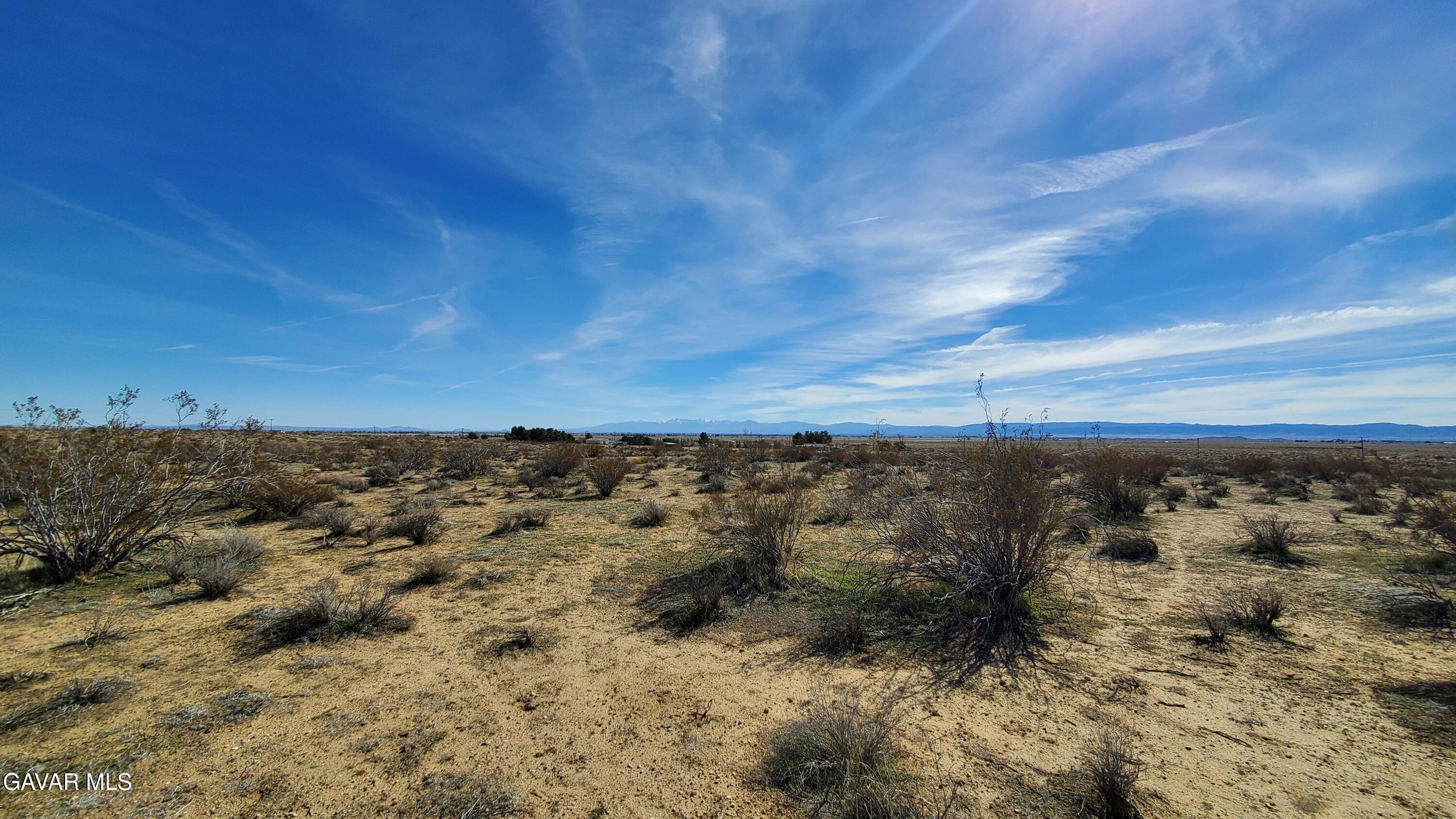 Rosamond Blvd & Kildeer St Property Photo 24