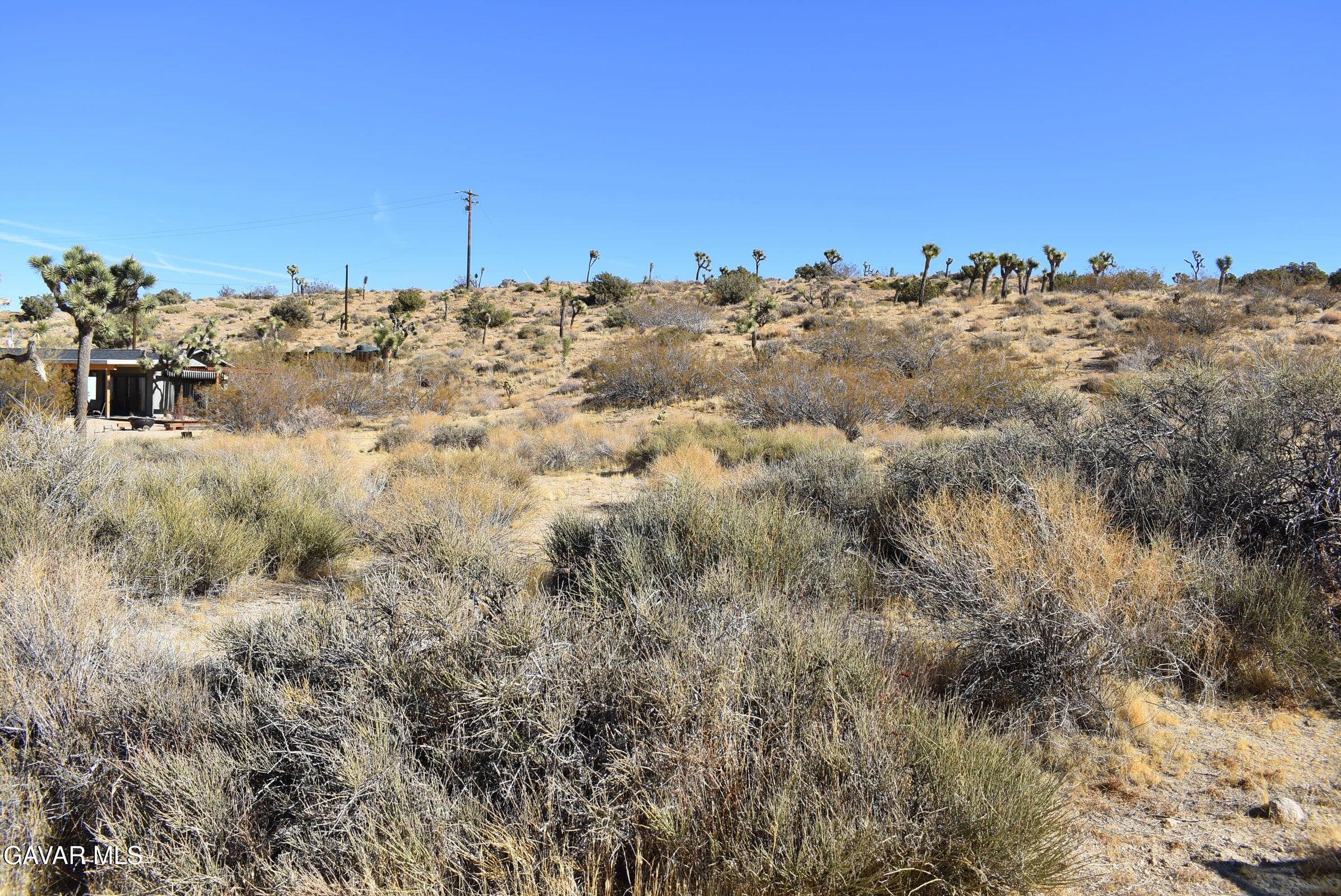 Indio Avenue Property Photo 2