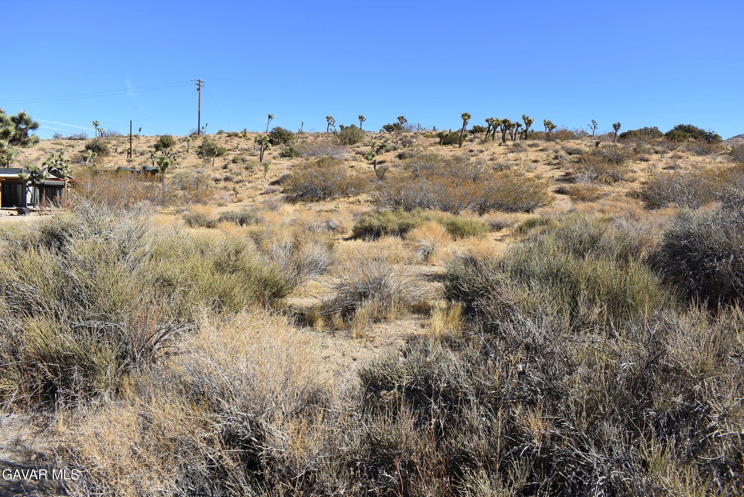Indio Avenue Property Photo 4