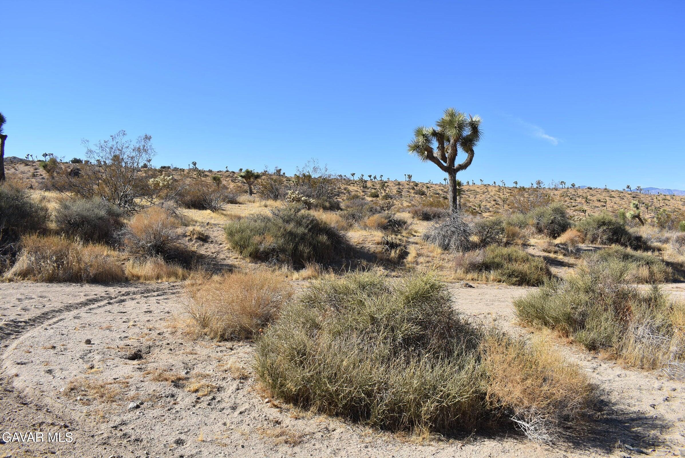 Indio Avenue Property Photo 5