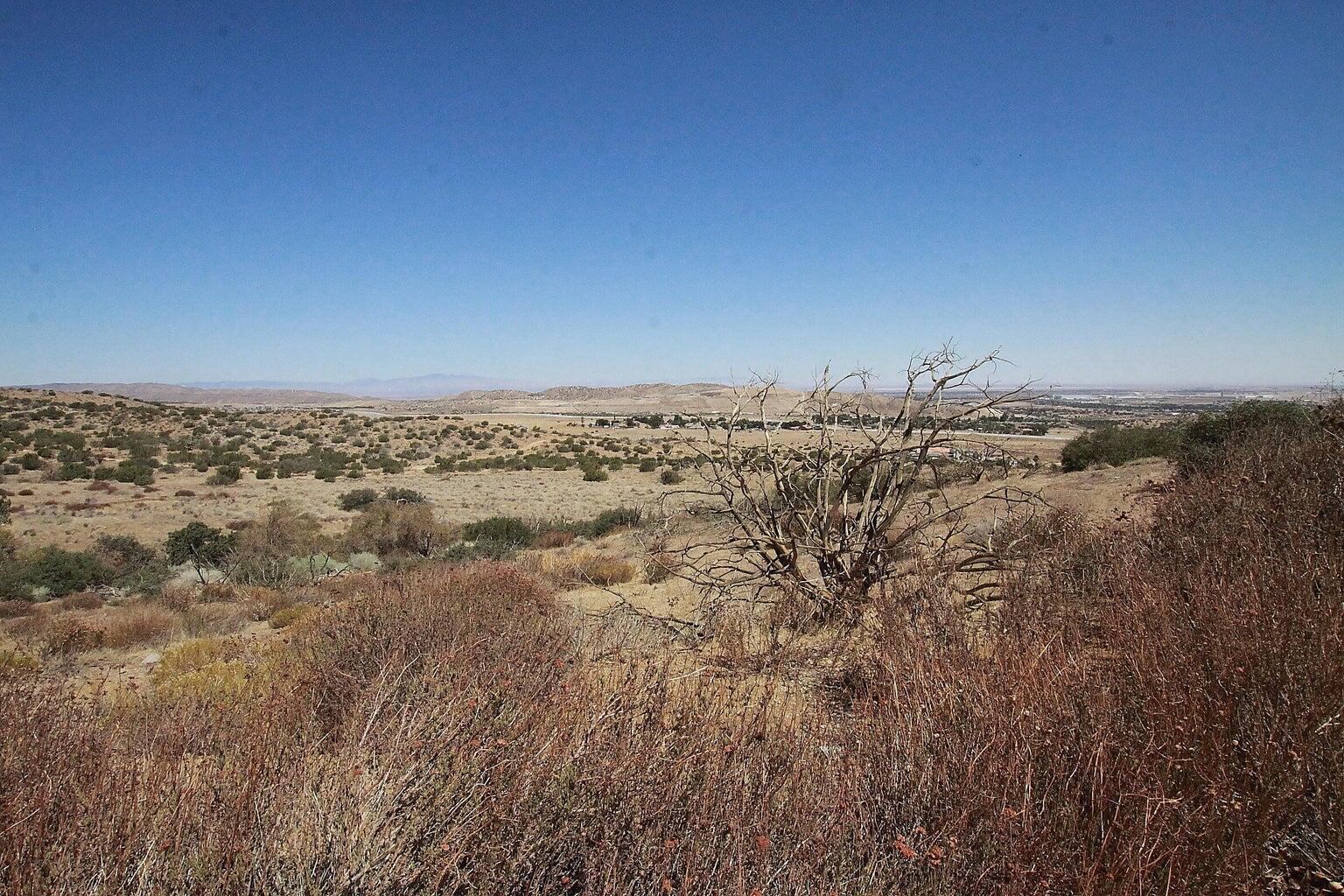 Barrel Springs & Camares 25ac Property Photo 6