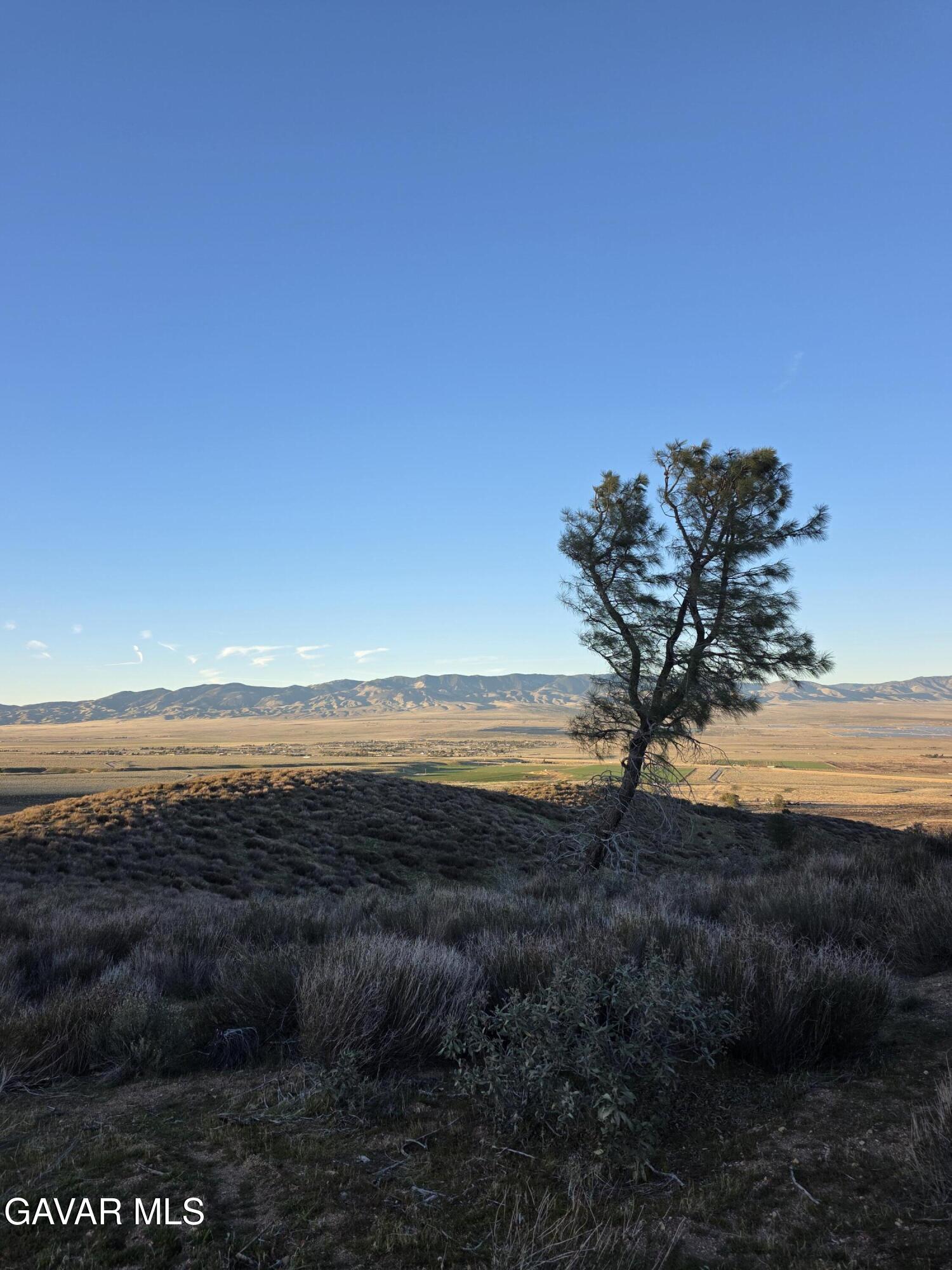 25 3 Points Road Property Photo 13