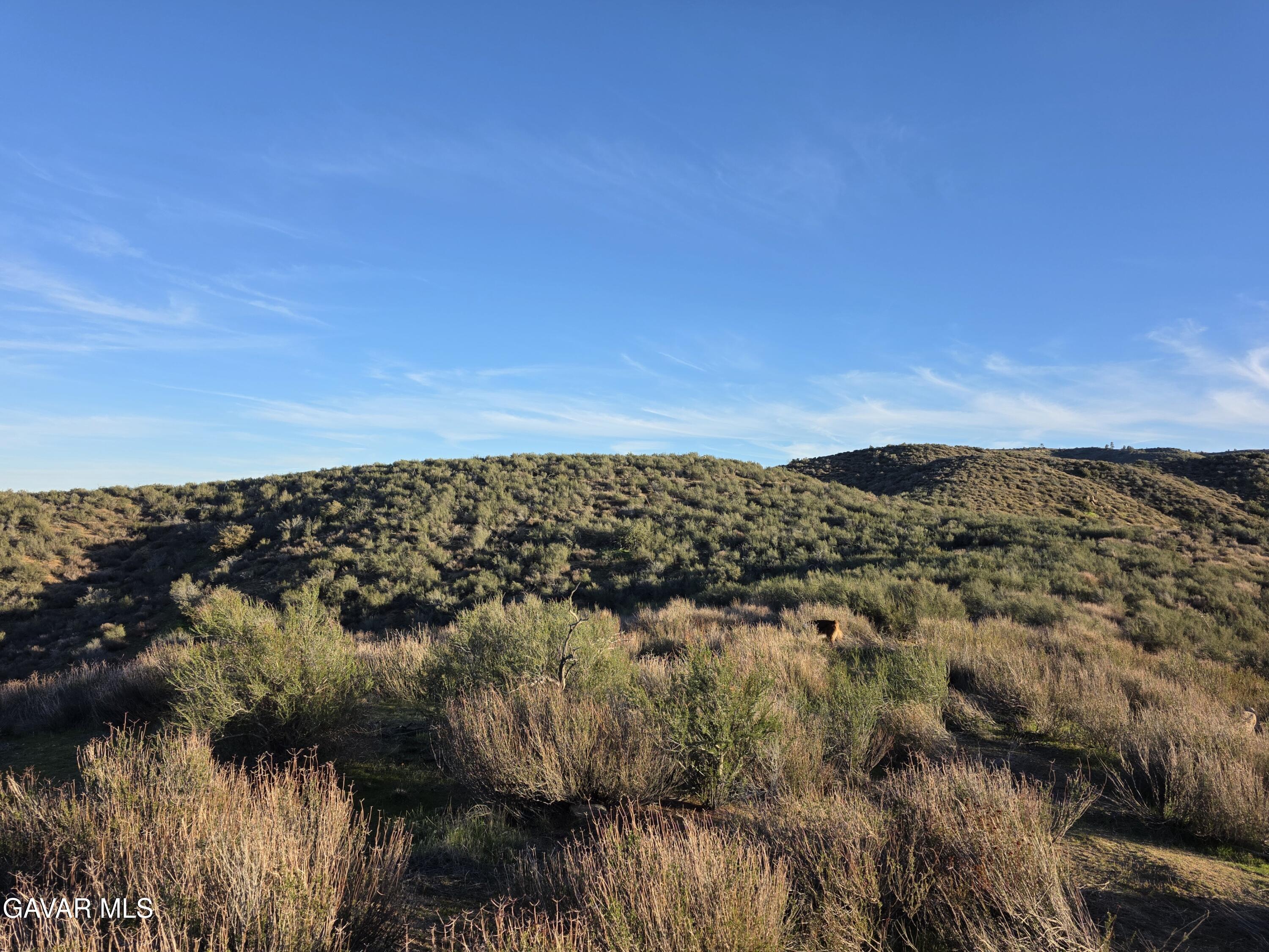 25 3 Points Road Property Photo 15