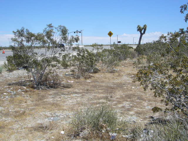 0 Pearblossom Hw Vic Longv Property Photo 3