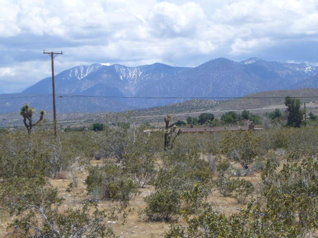 0 Pearblossom Hw Vic Longv Property Photo 4
