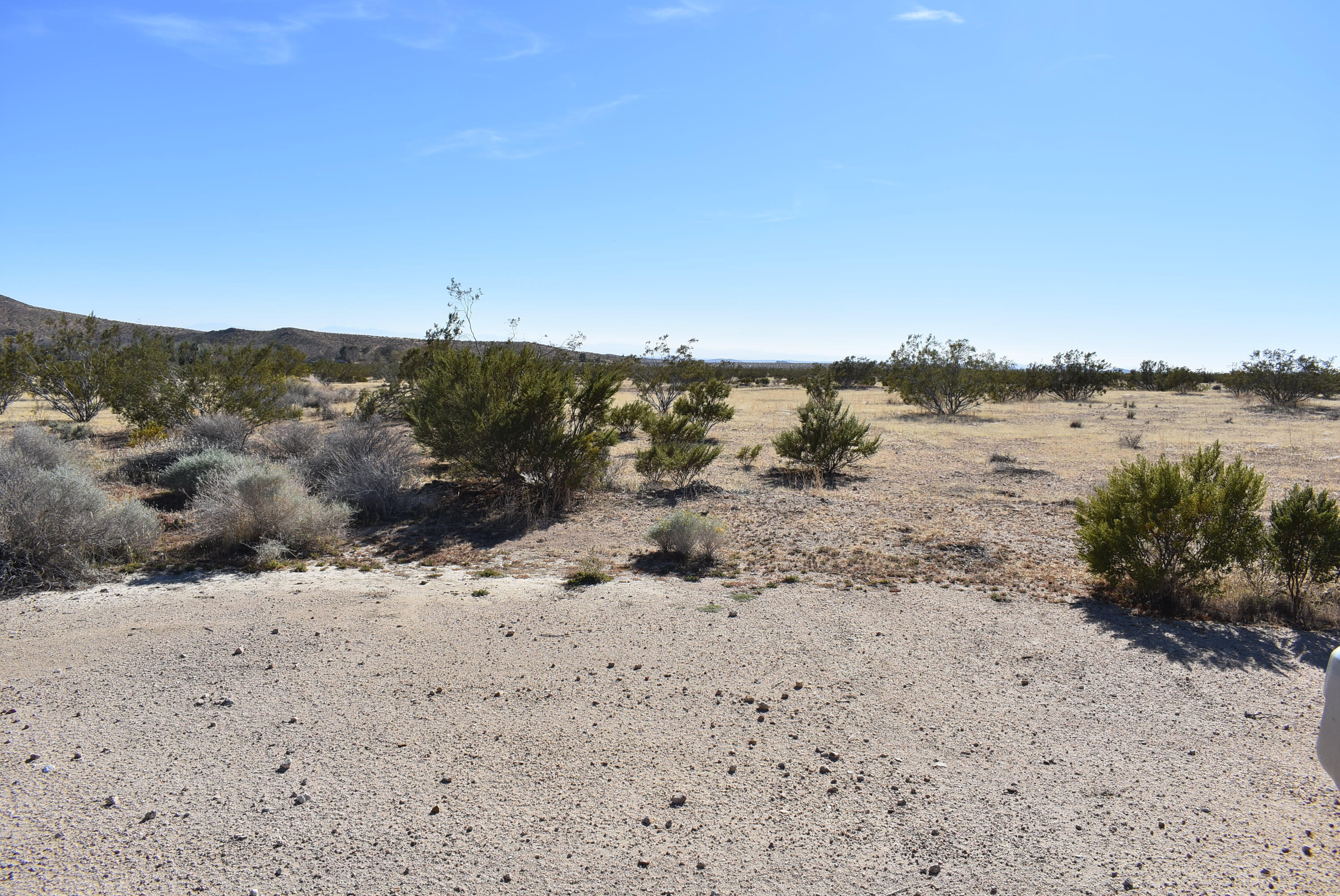 Timlin Way Property Photo 4