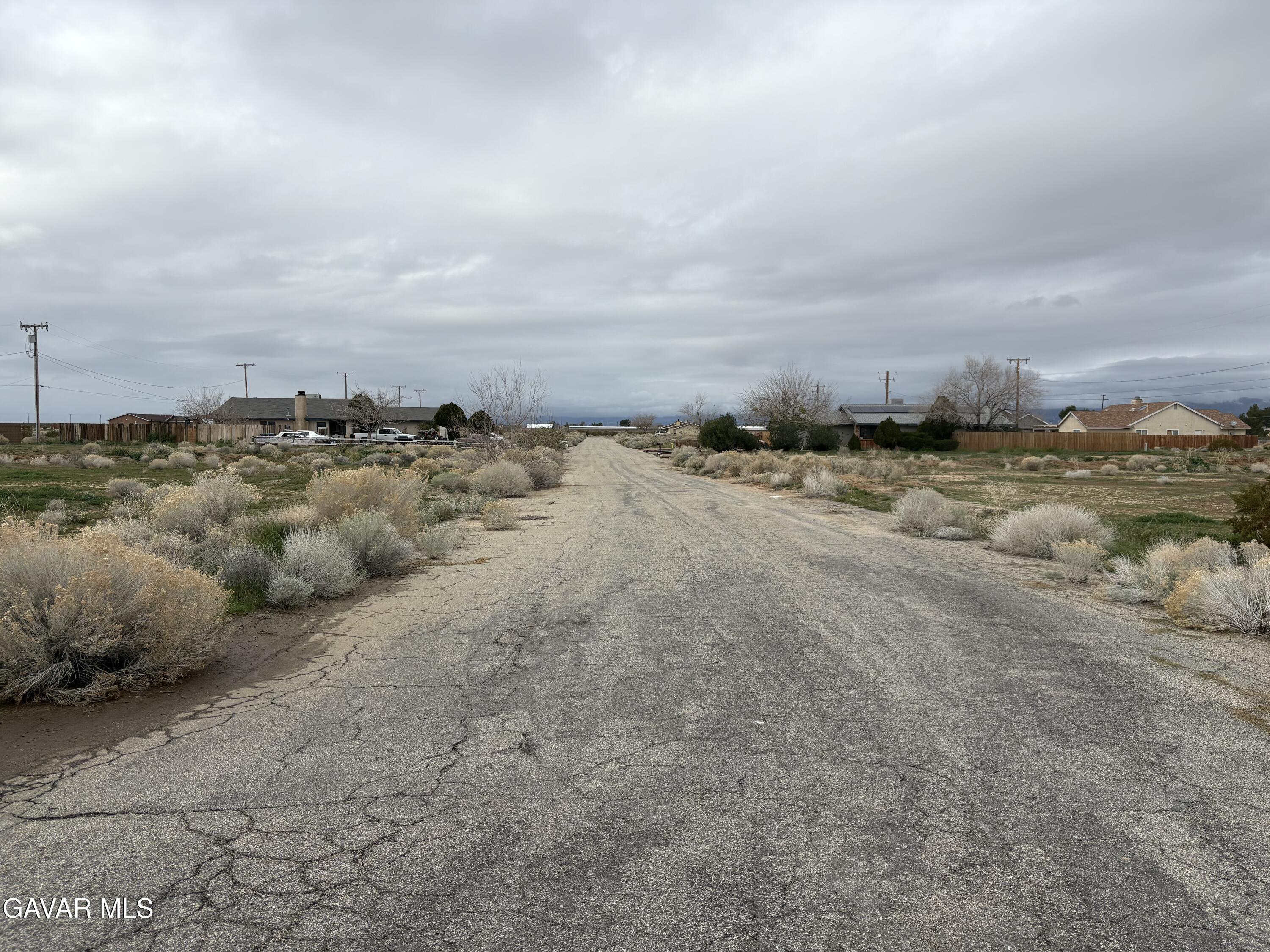 Catalpa Avenue Property Photo 5