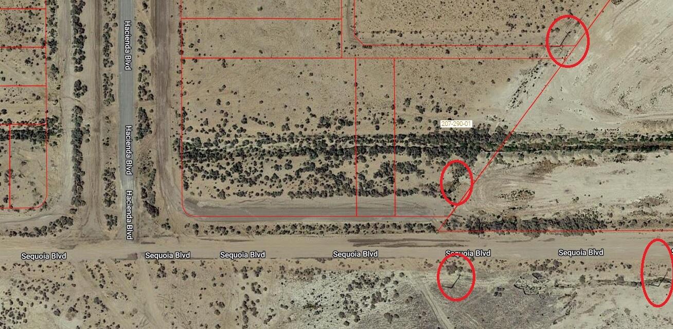 Sequoia Boulevard Property Photo 2