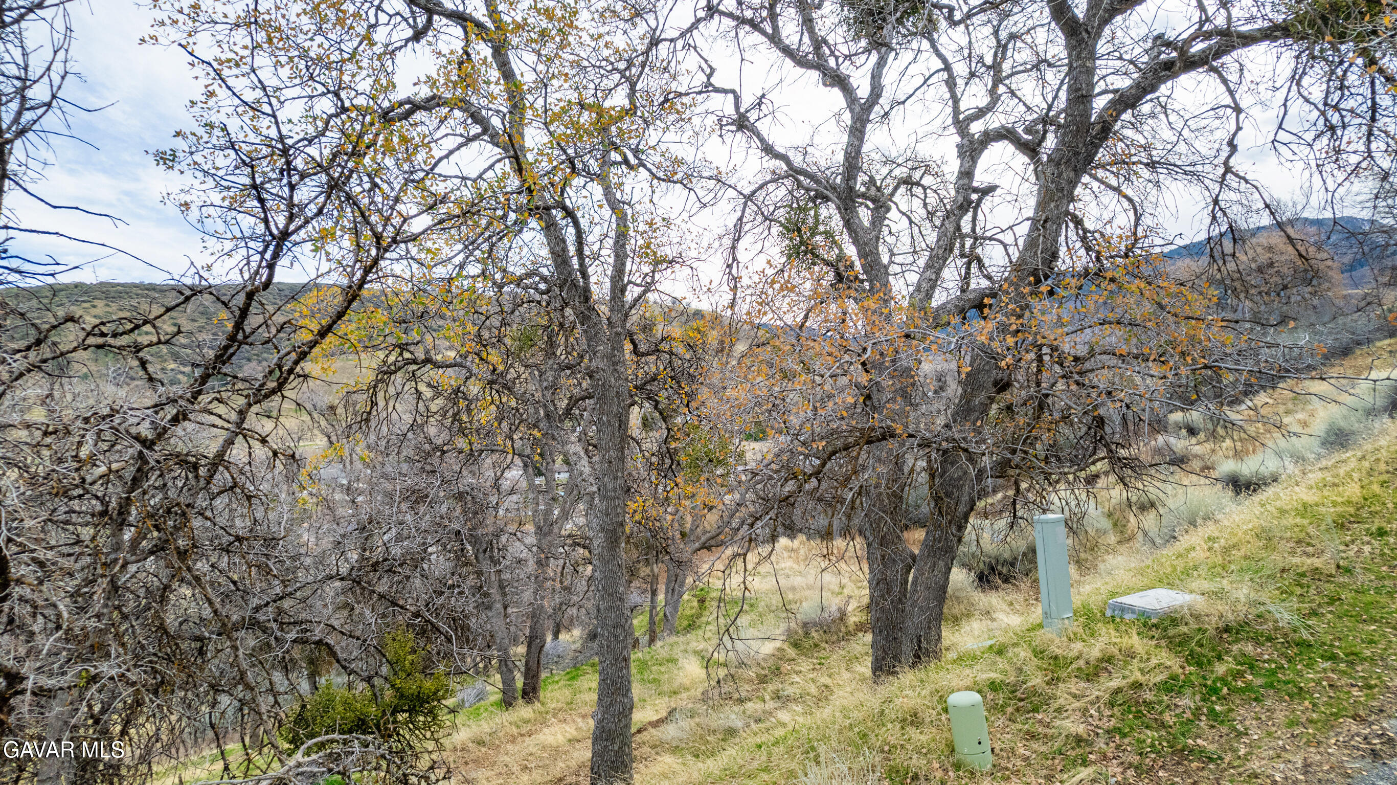 Lusanne Court Property Photo 4