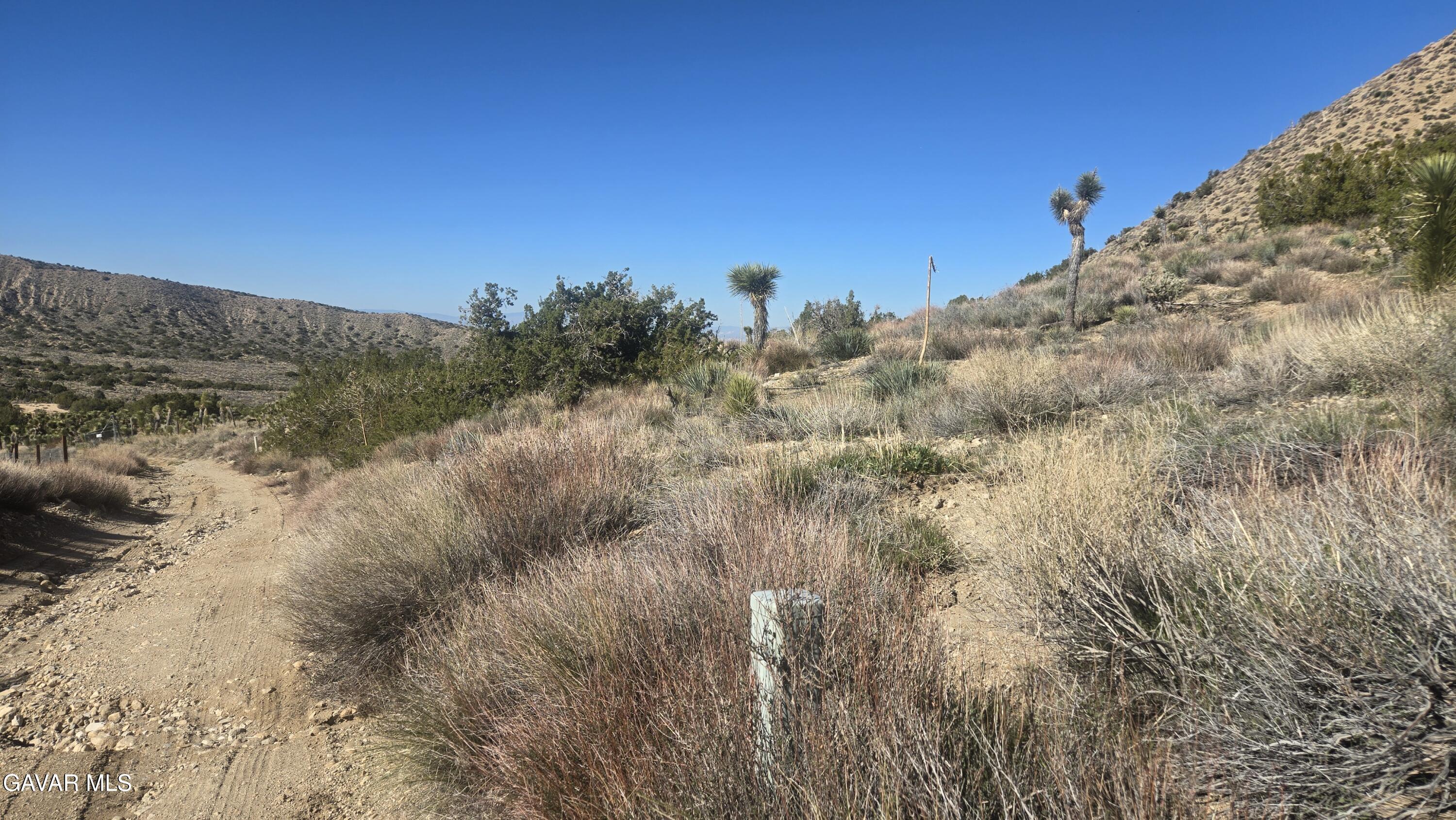 Pinon Road To Mescal Highlands Property Photo 2