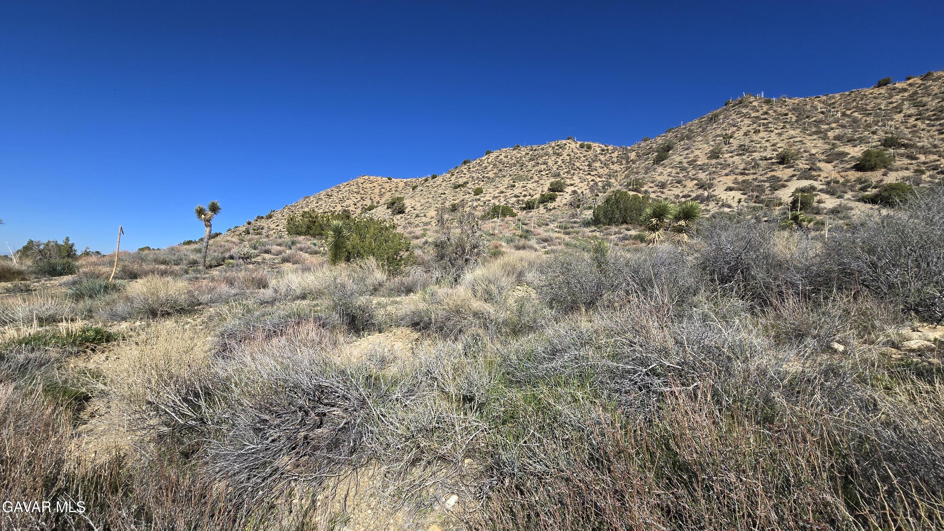 Pinon Road To Mescal Highlands Property Photo 3