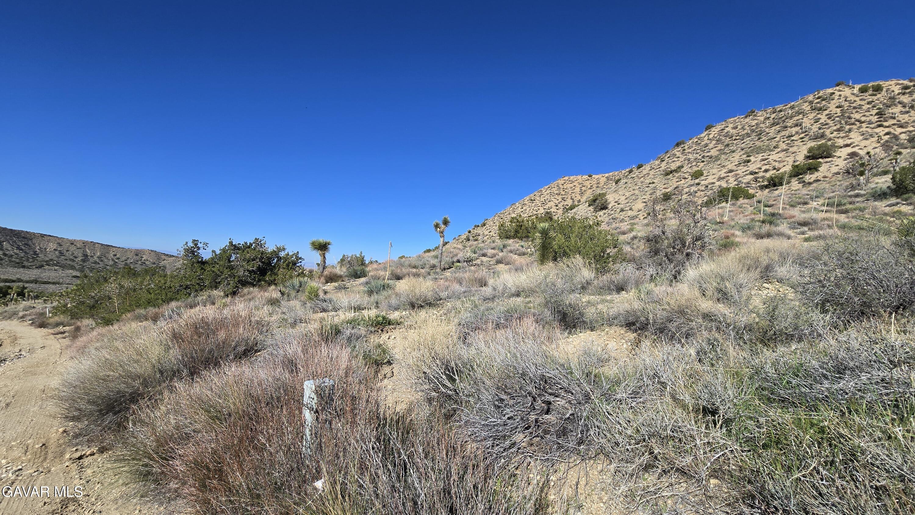 Pinon Road To Mescal Highlands Property Photo 4