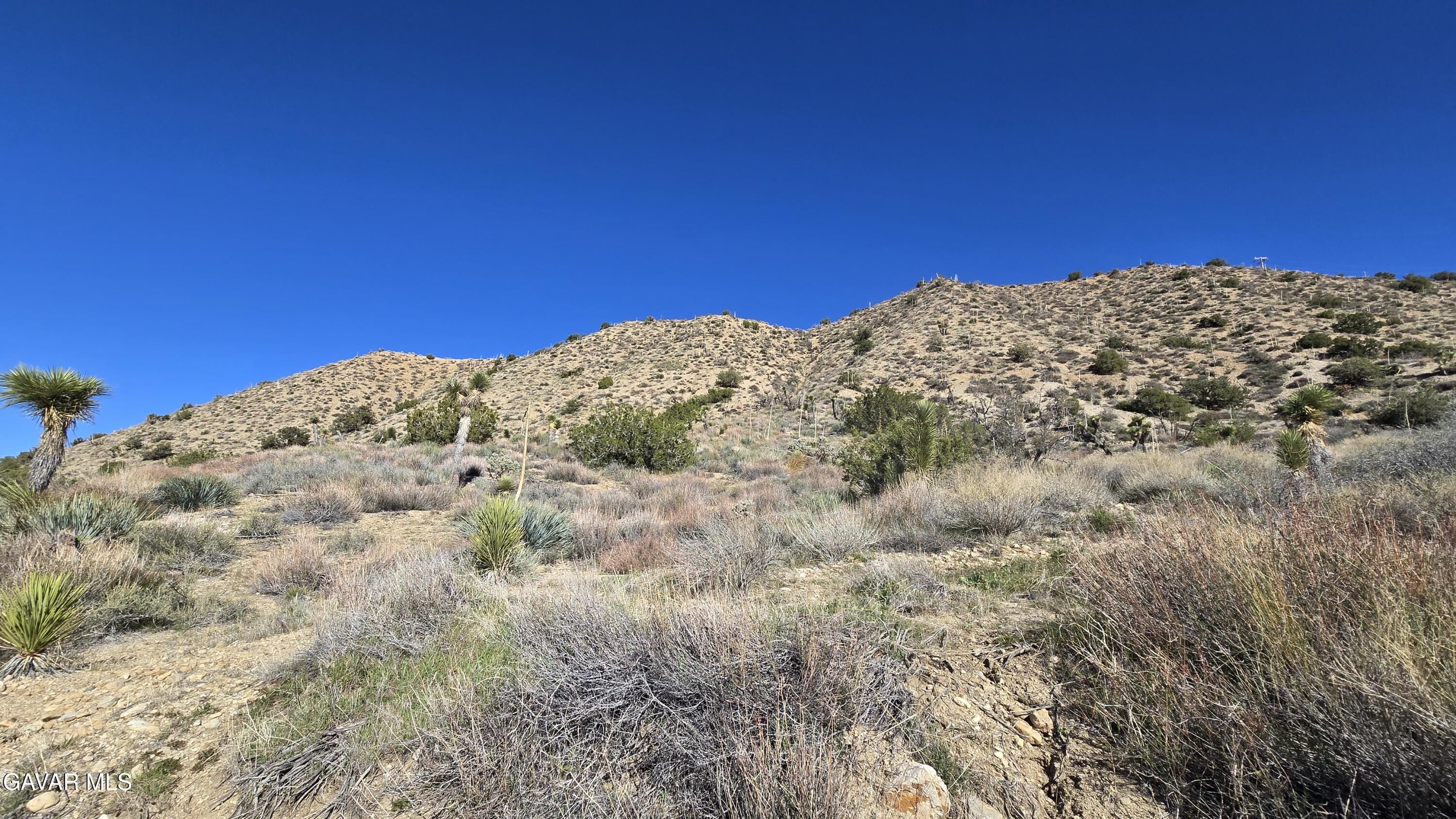 Pinon Road To Mescal Highlands Property Photo 5