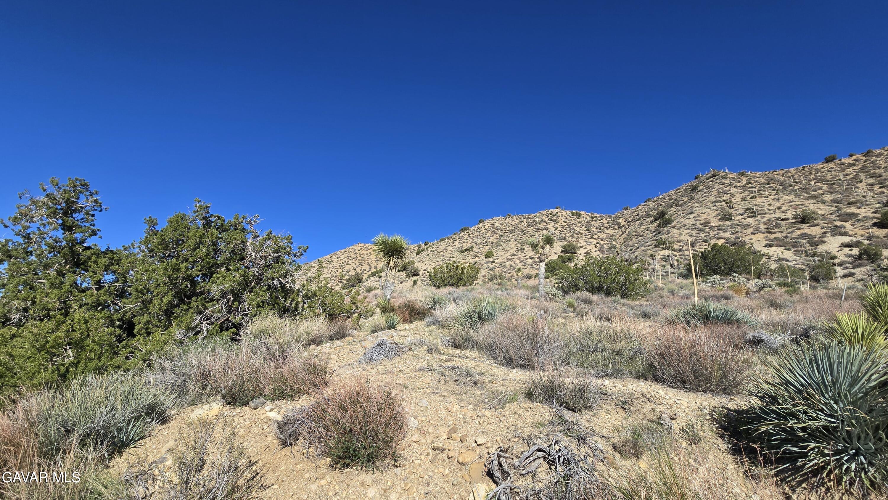 Pinon Road To Mescal Highlands Property Photo 6