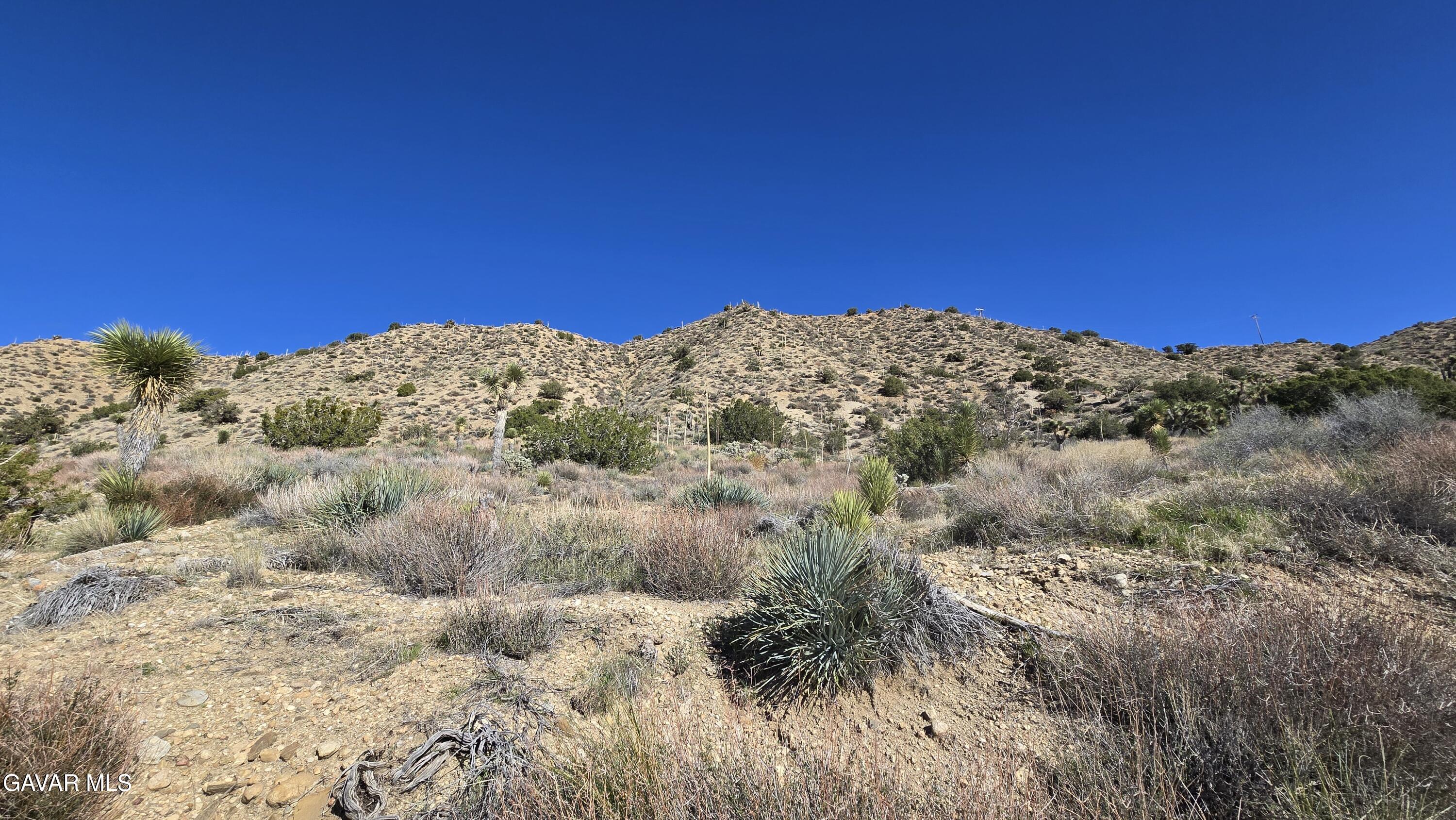Pinon Road To Mescal Highlands Property Photo 7
