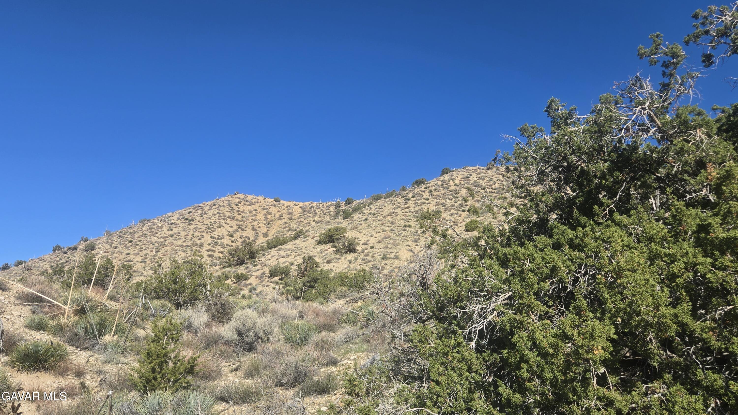 Pinon Road To Mescal Highlands Property Photo 8