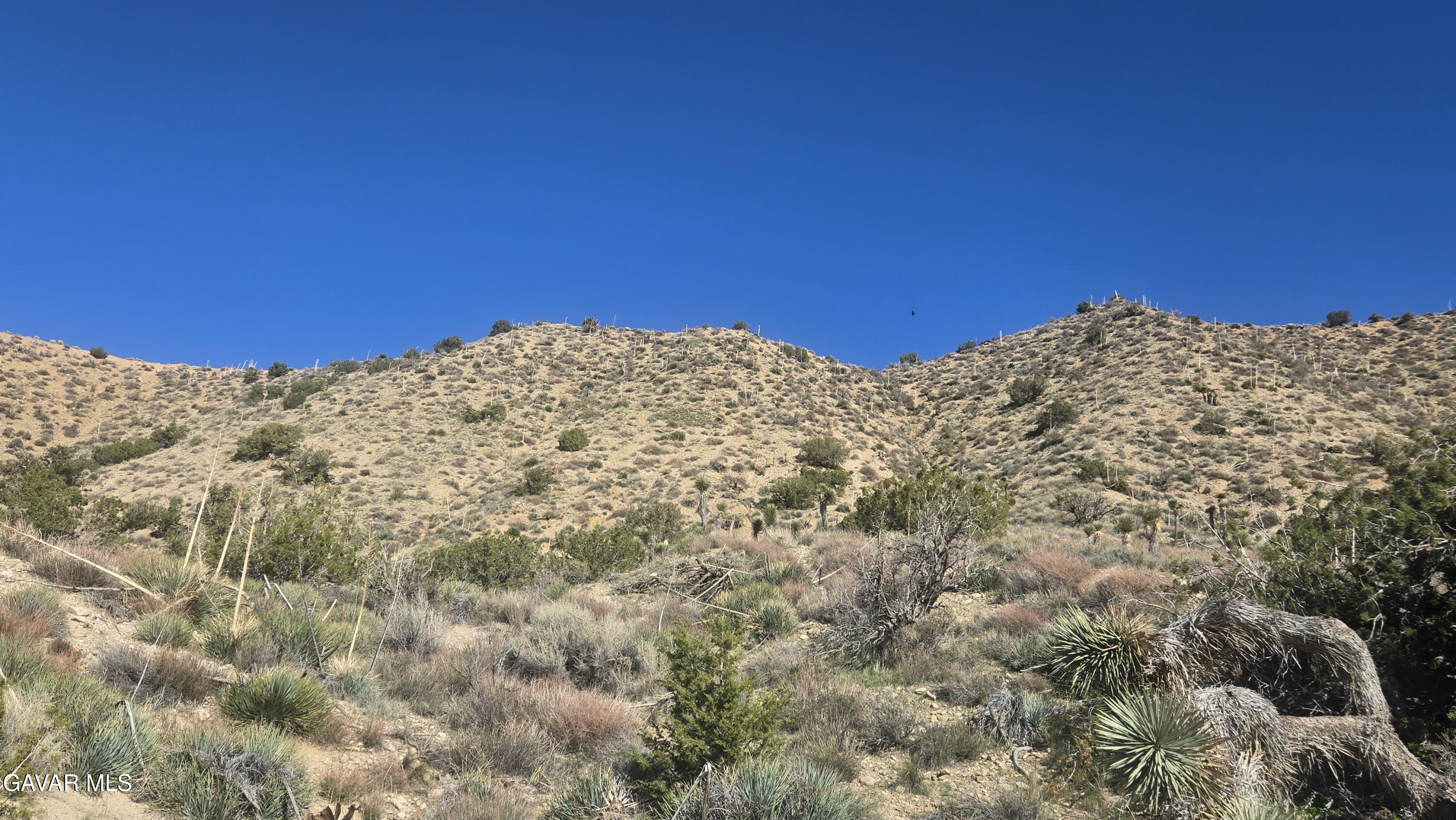 Pinon Road To Mescal Highlands Property Photo 9