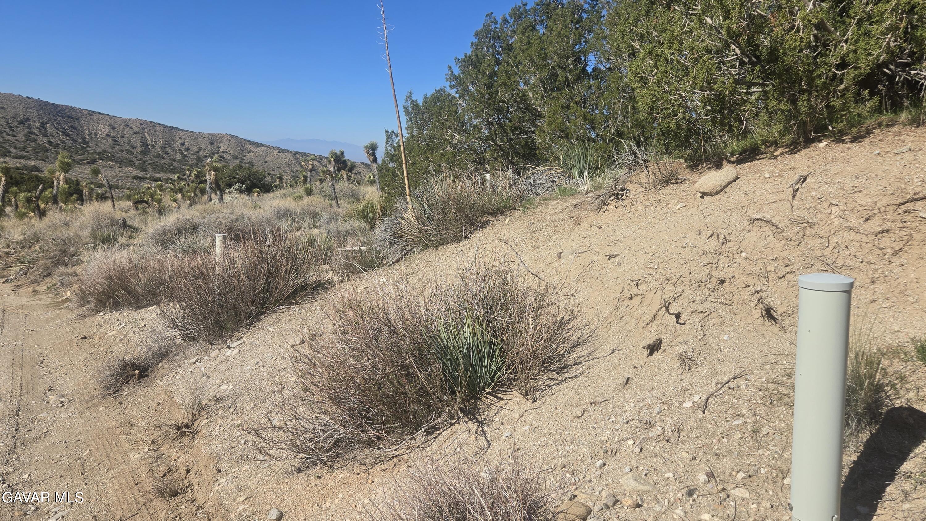 Pinon Road To Mescal Highlands Property Photo 10