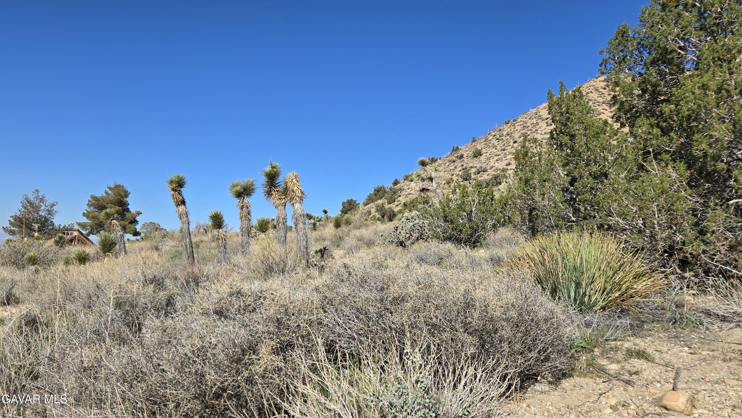 Pinon Road To Mescal Highlands Property Photo 11