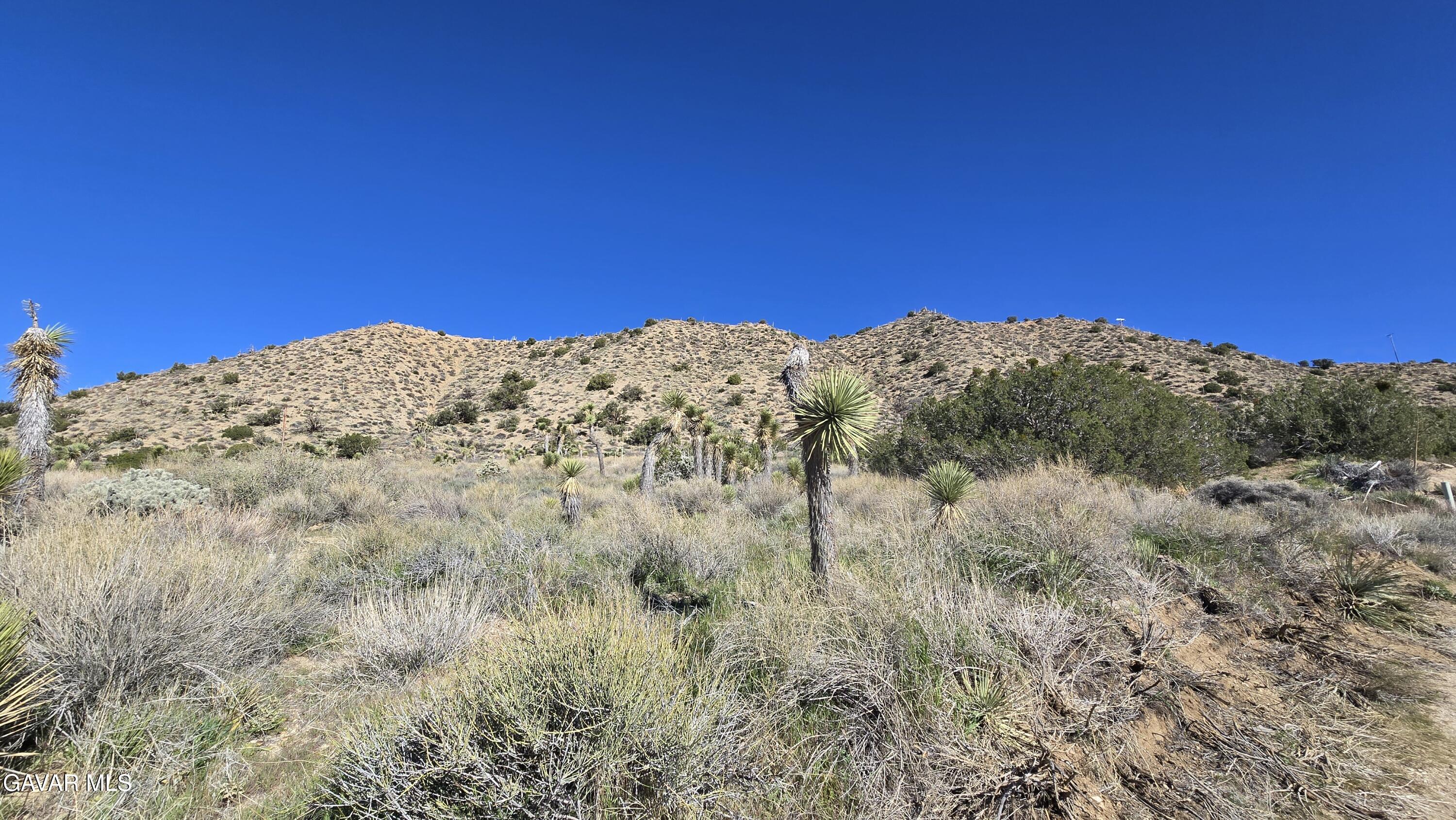Pinon Road To Mescal Highlands Property Photo 12