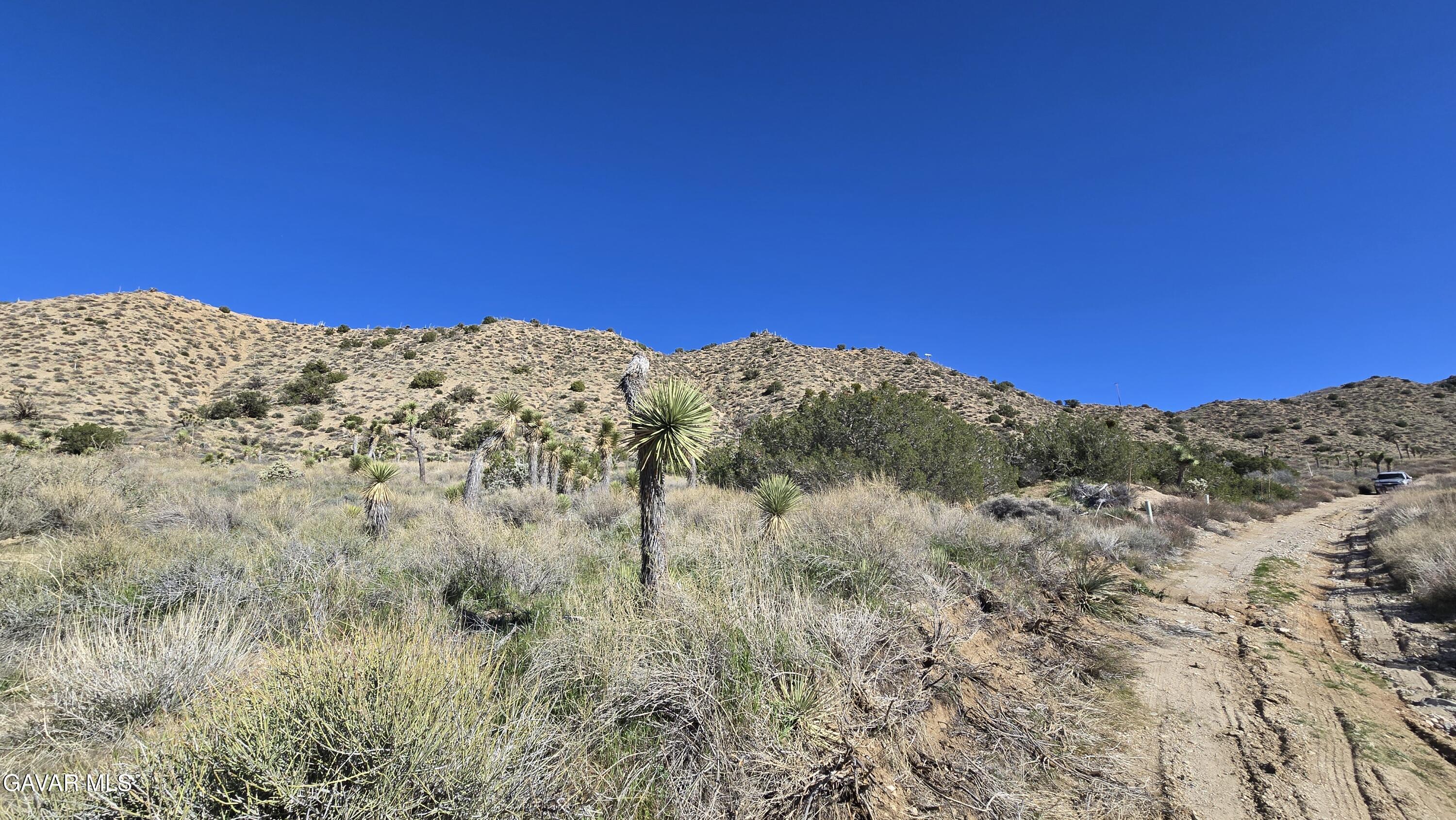 Pinon Road To Mescal Highlands Property Photo 13