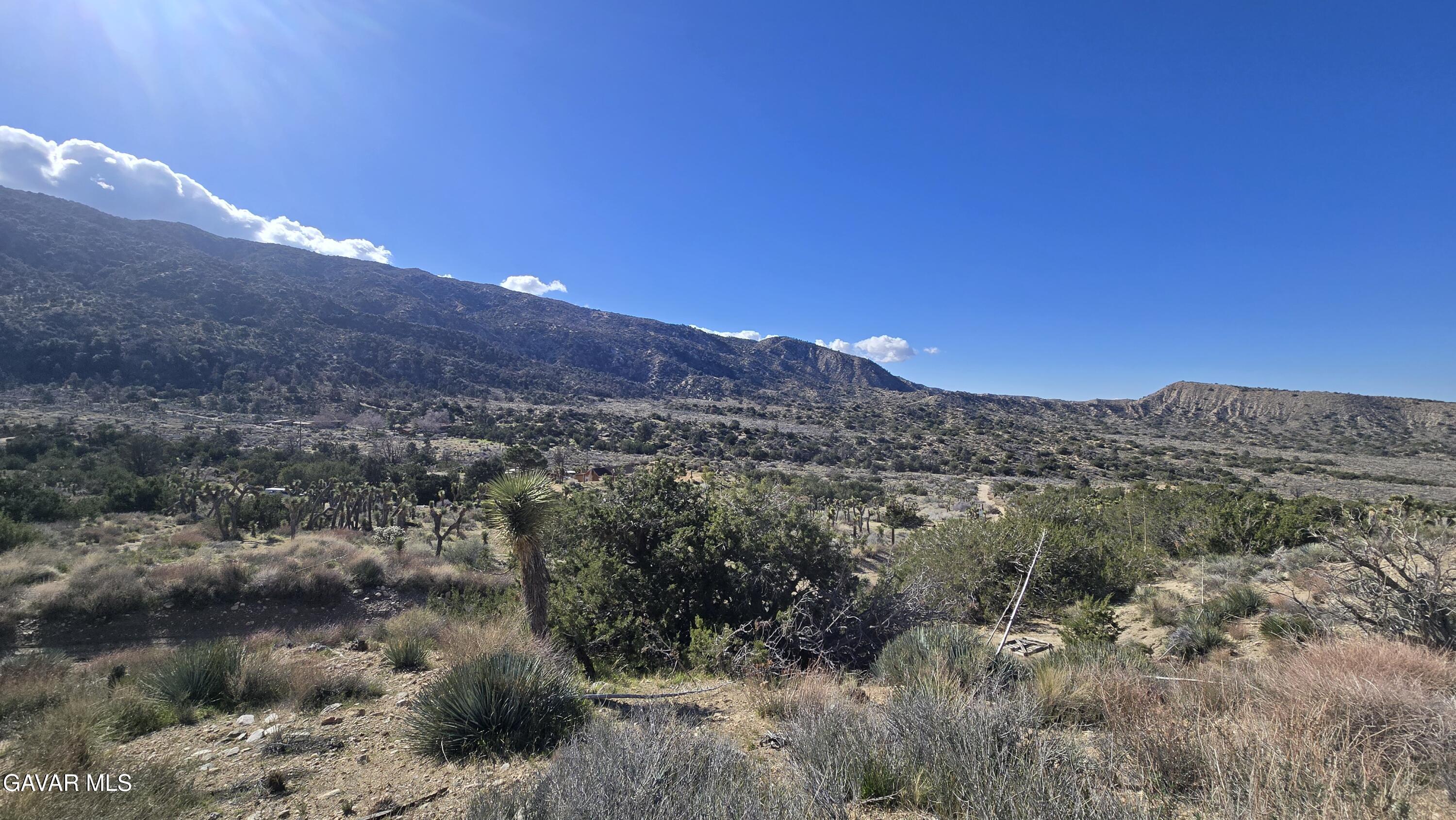 Pinon Road To Mescal Highlands Property Photo 17