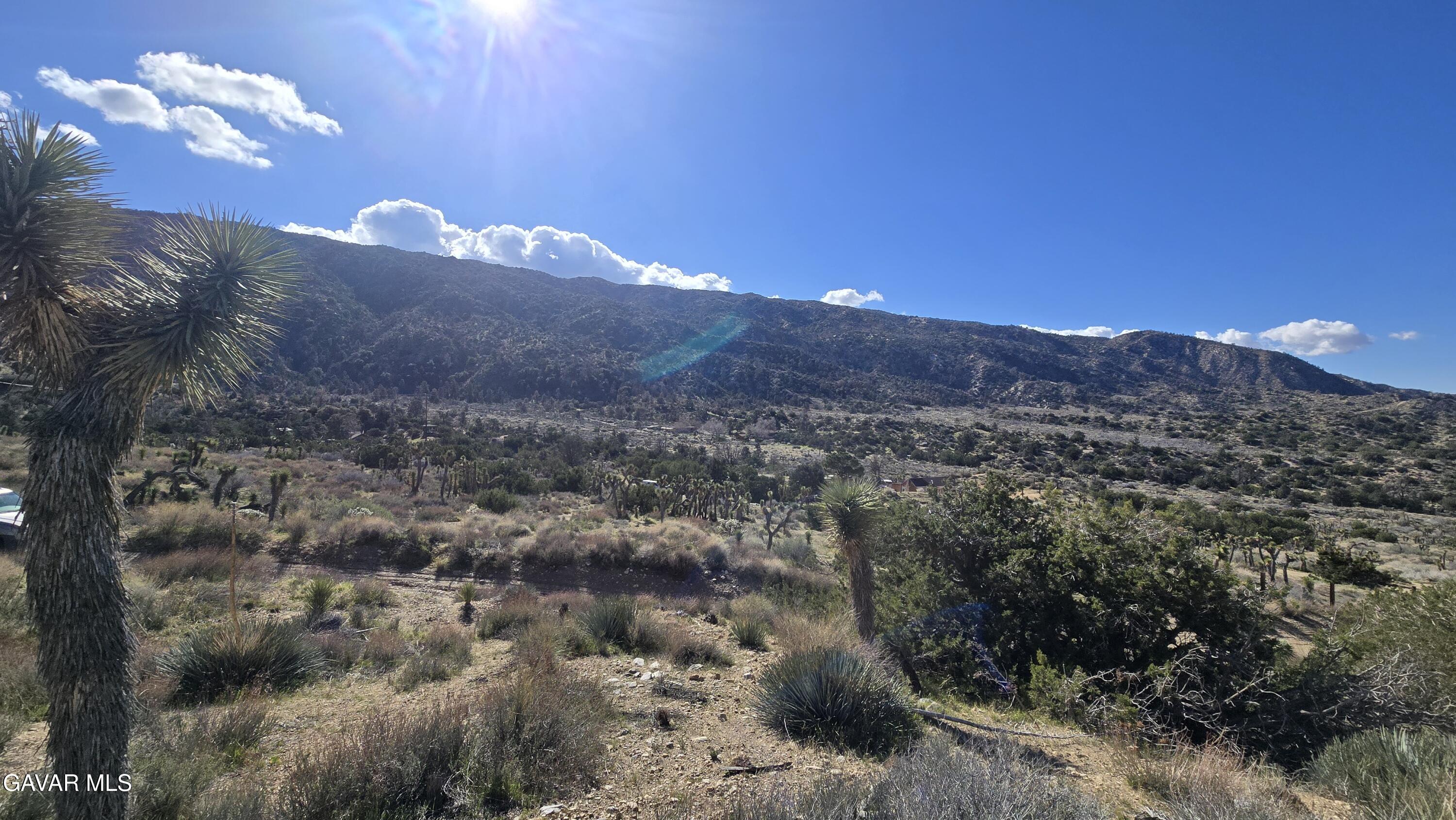 Pinon Road To Mescal Highlands Property Photo 18