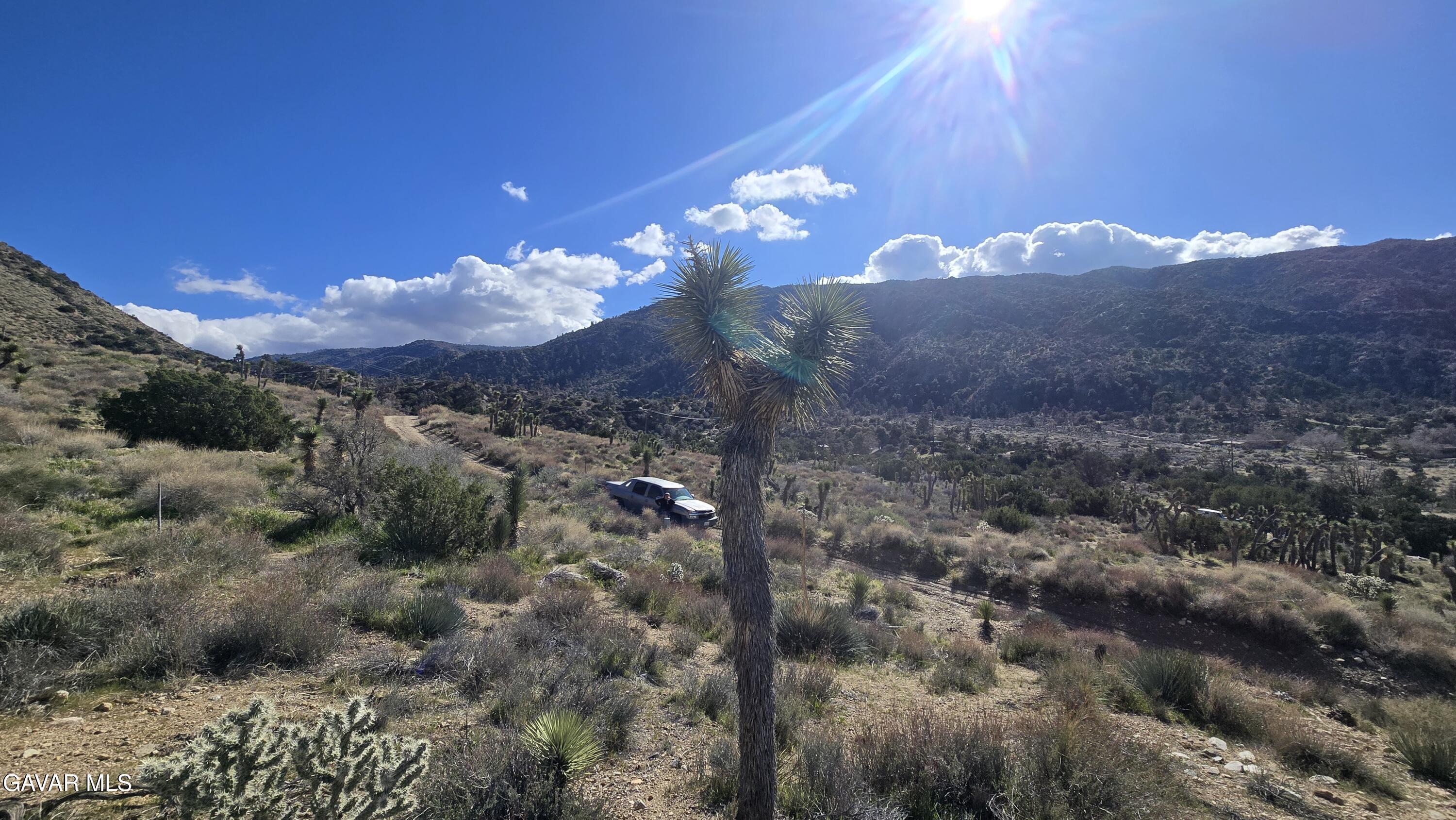 Pinon Road To Mescal Highlands Property Photo 19